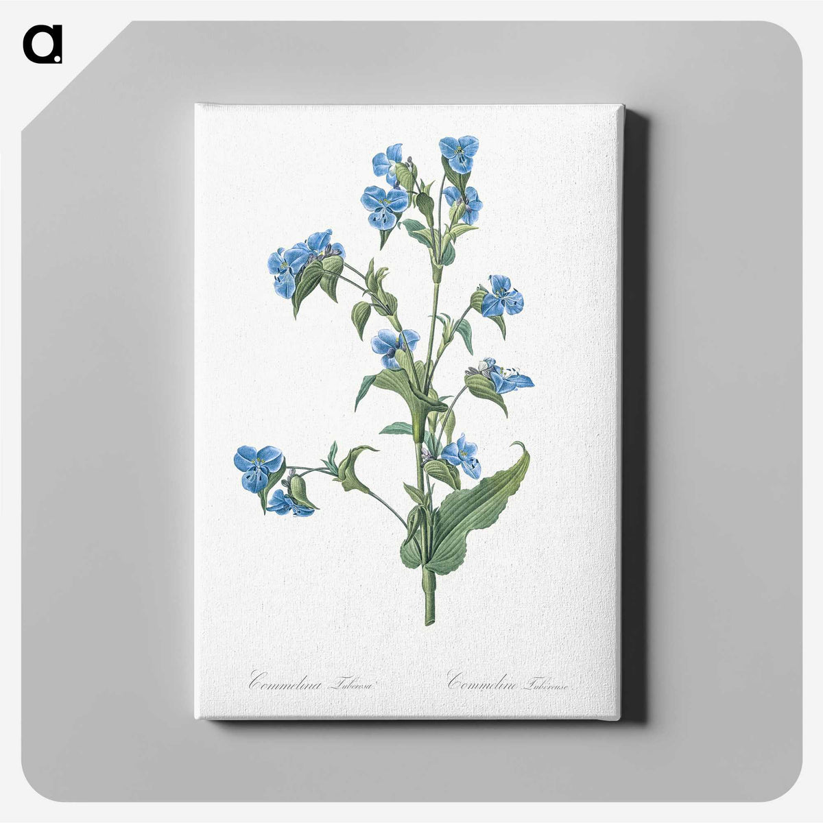 1-6_The-Lilies_canvas
