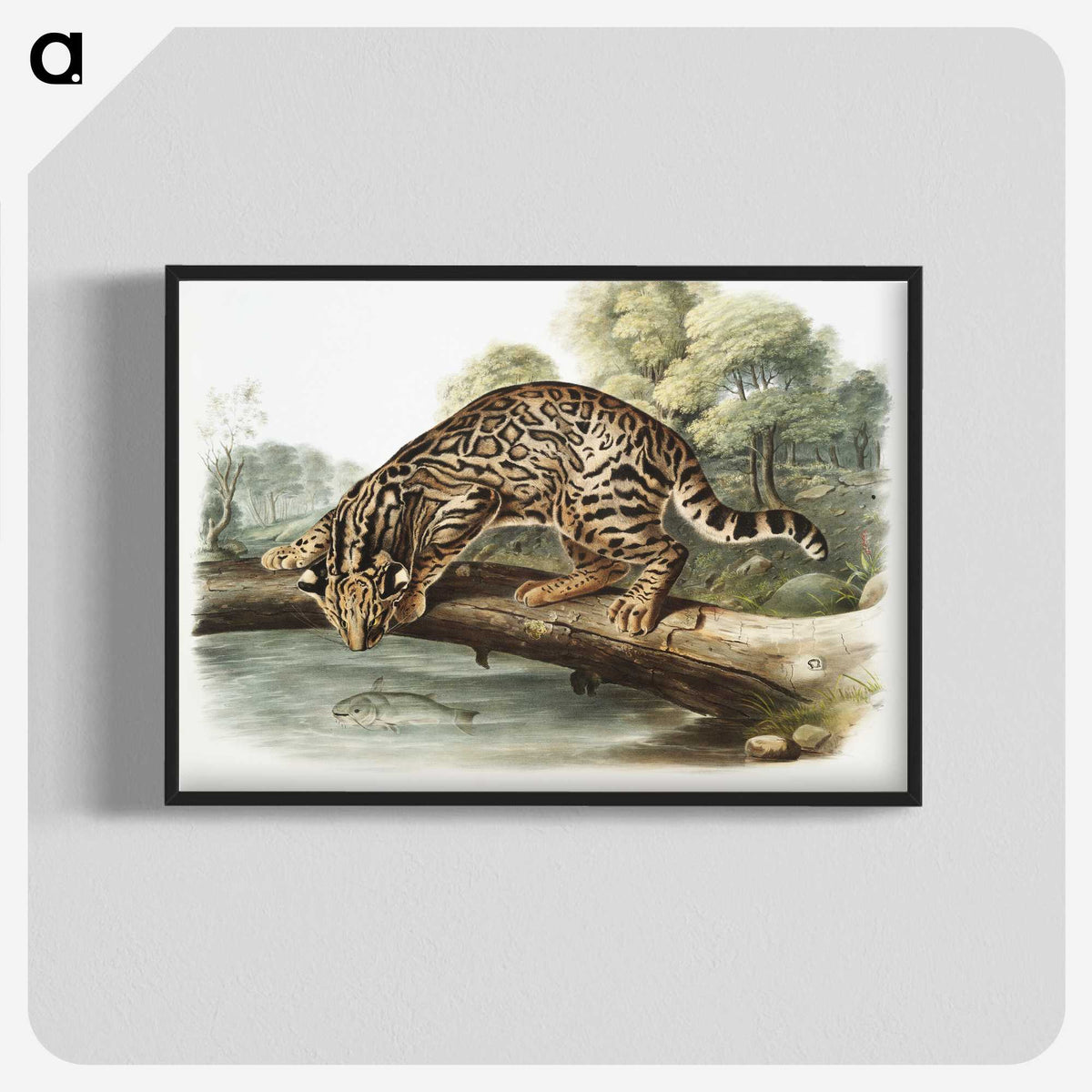 1-6_The-Viviparous-Quadrupeds_blk-crop