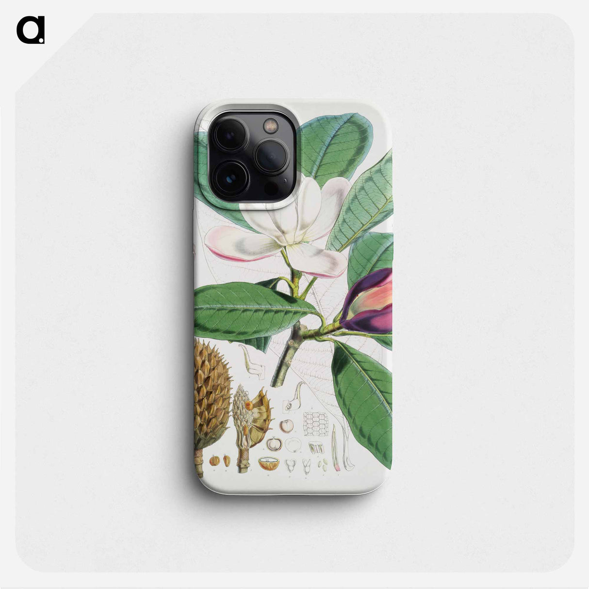 Talauma Hodgsoni - Walter Hood Fitch Phone Case.