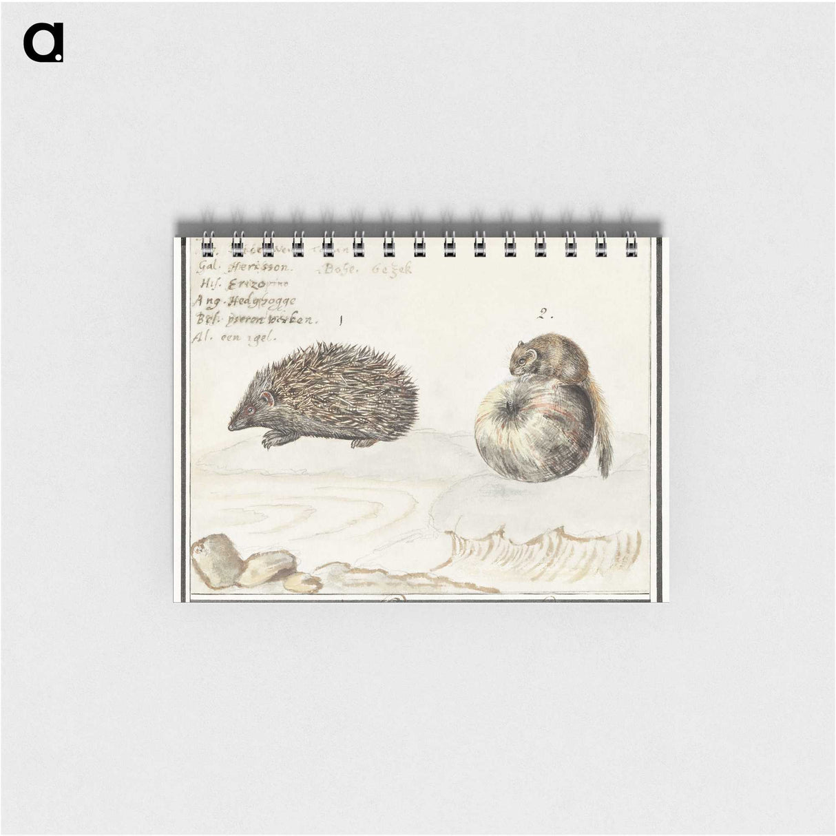 1-70_Anselmus-Boetius-de-Boodt_memo