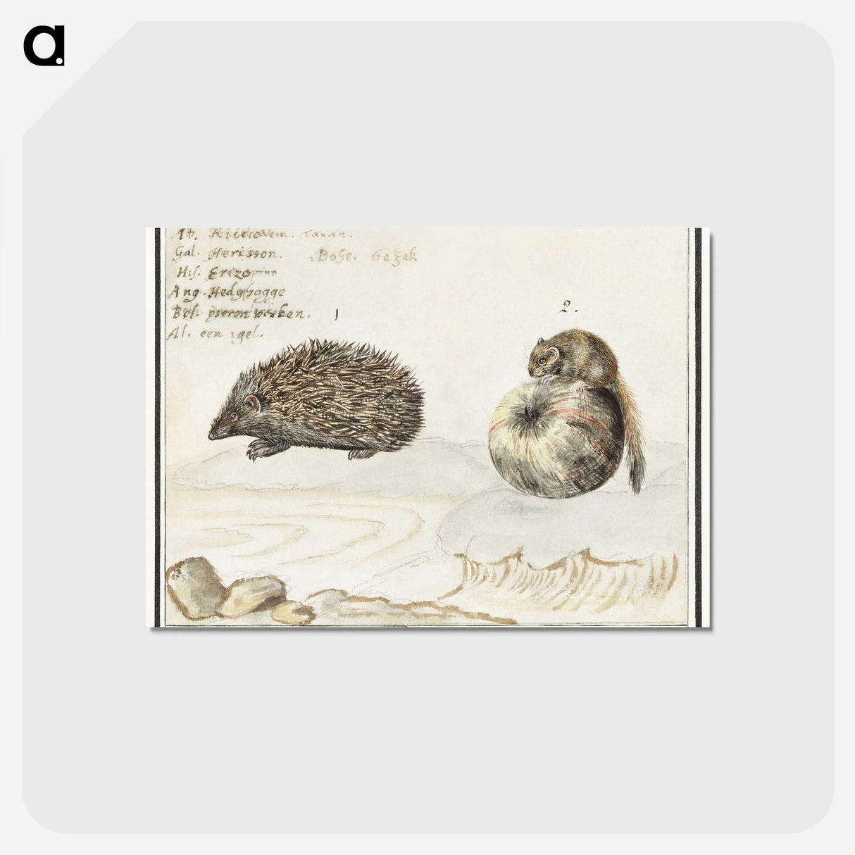 1-70_Anselmus-Boetius-de-Boodt_postcard