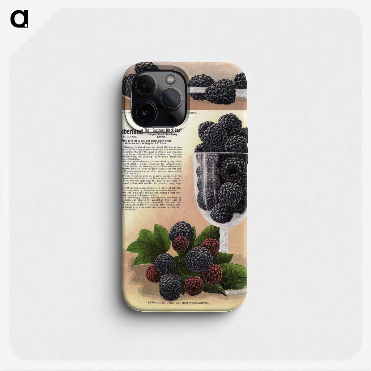 1-70_Botanical-Specimen-Plates_phone