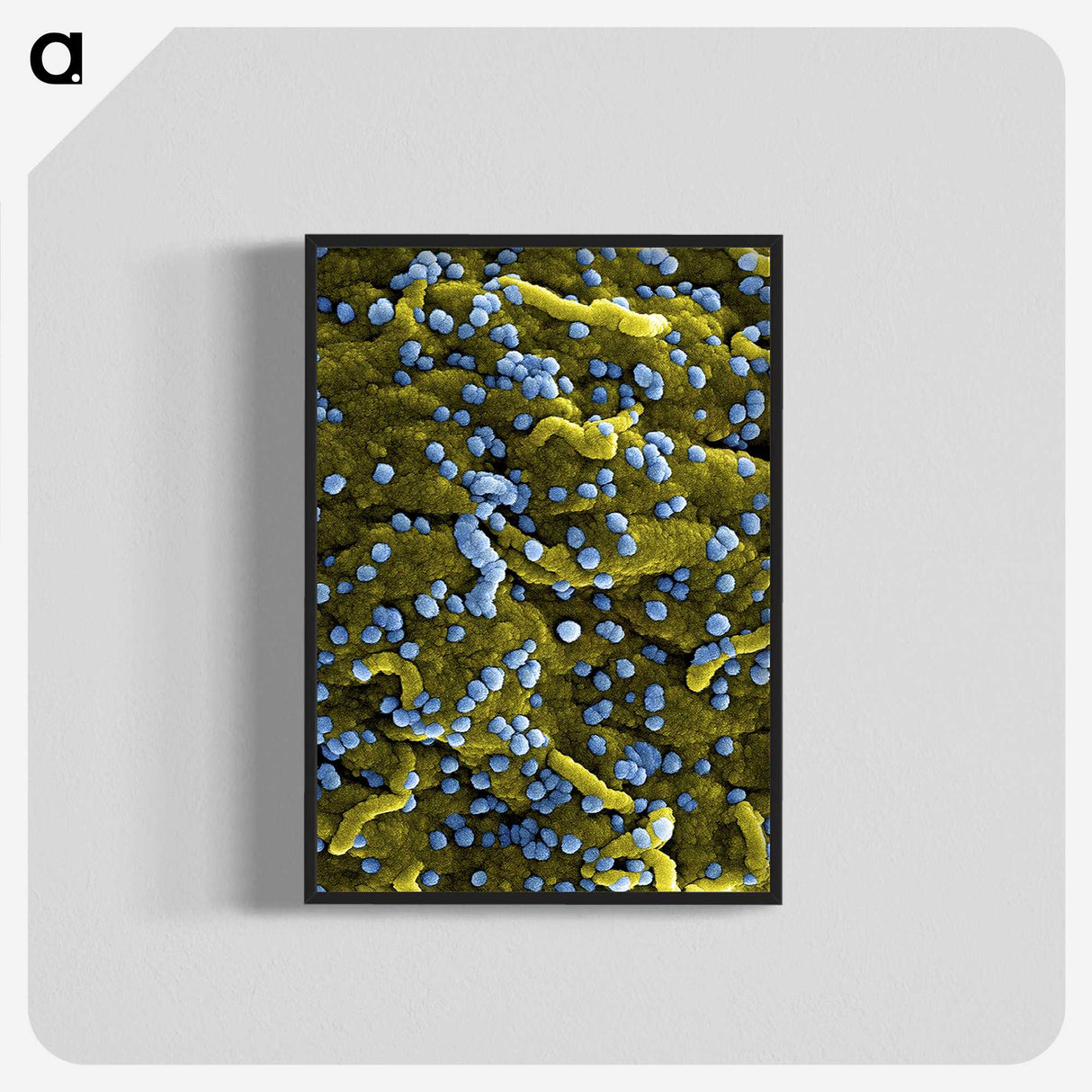 1-70_COVID-19_blk-crop