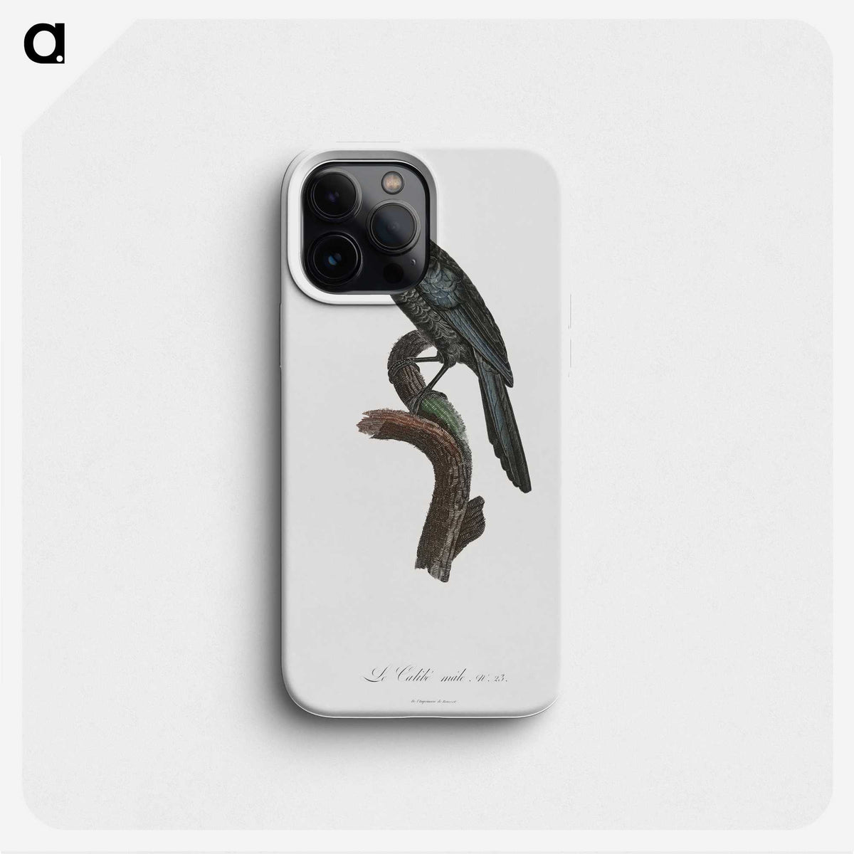 1-70_Des-Oiseaux-de-Paradis_phone