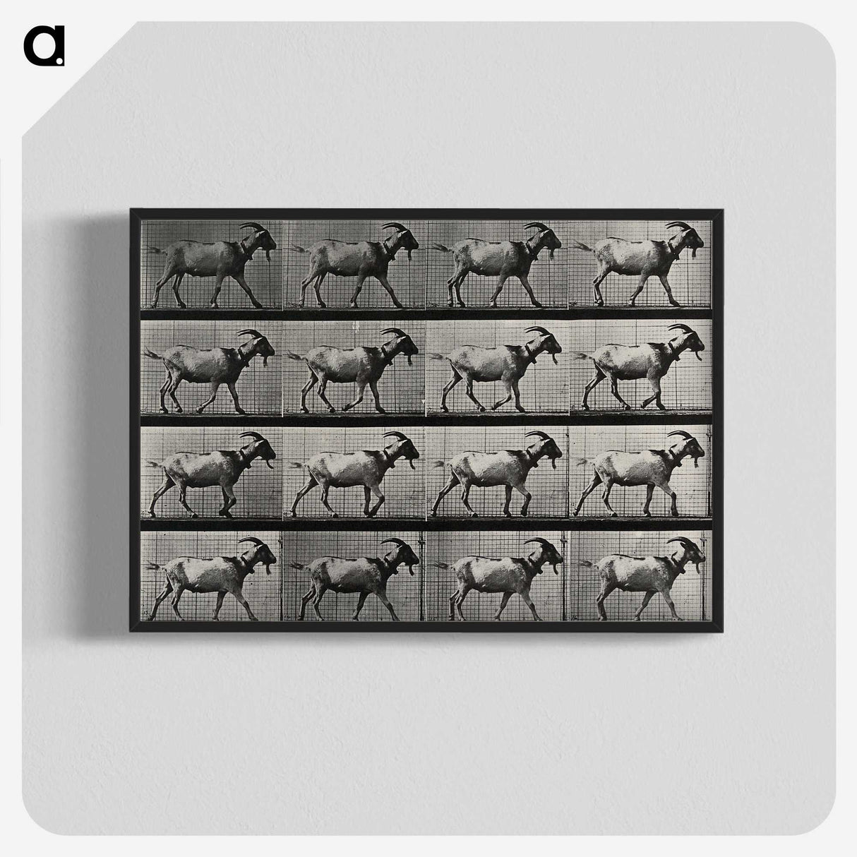 1-70_Eadweard-Muybridge_blk-crop