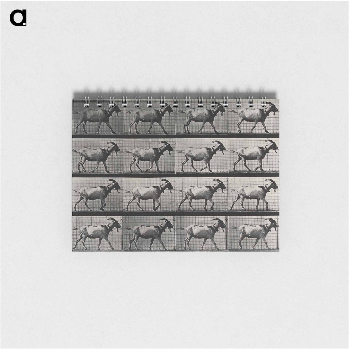 アートメモ帳-Goat Walking
- エドワード マイブリッジ Memo.