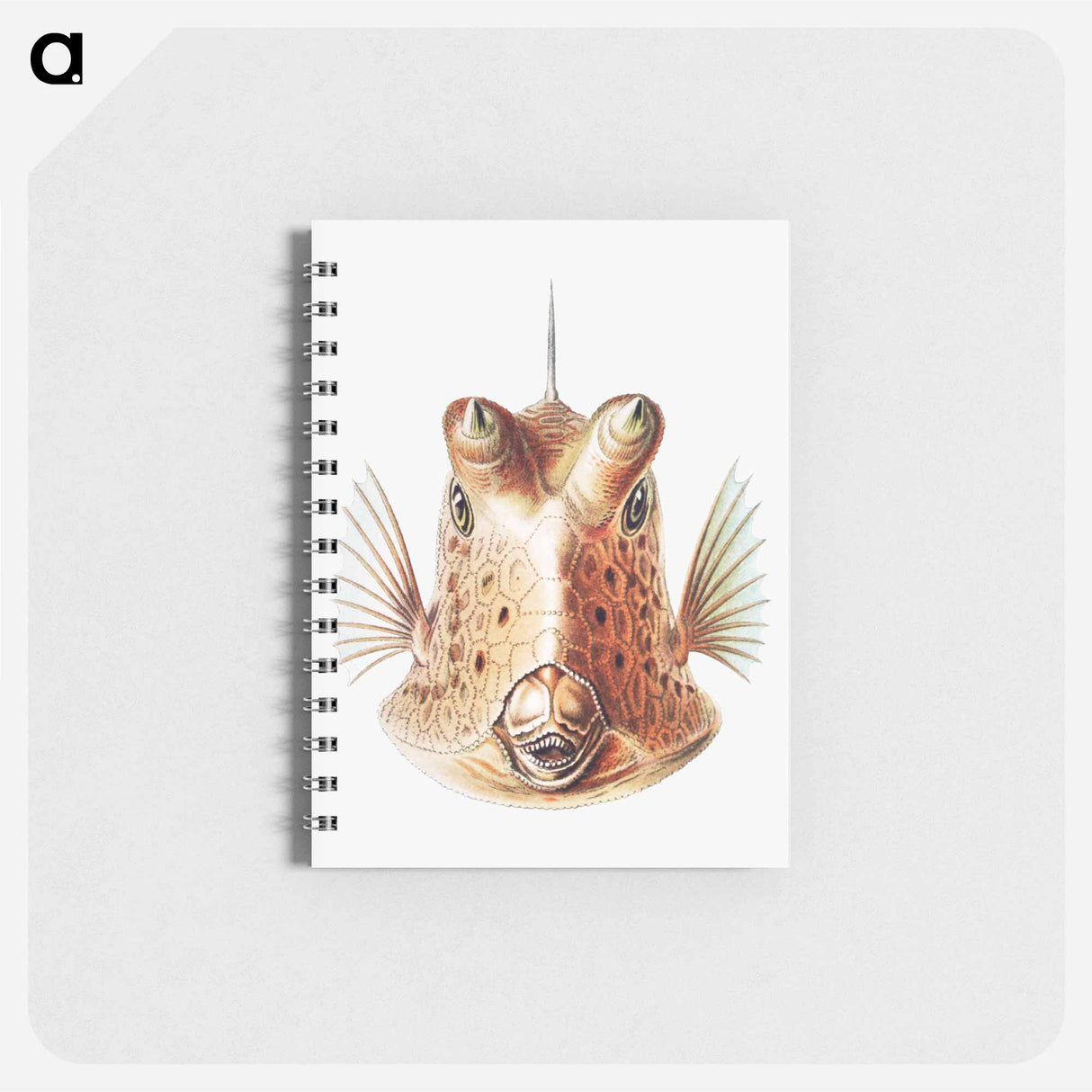 アートメモ帳-Vintage fish illustration on white background - エルンスト ヘッケル Memo.