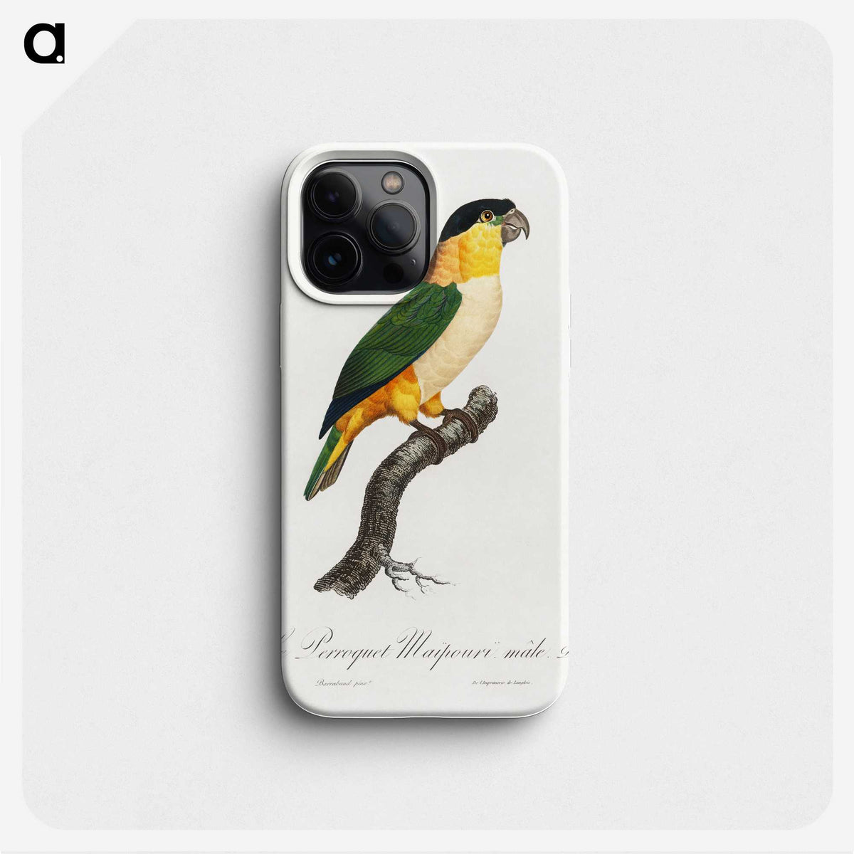 1-70_Francois-Levaillant_phone