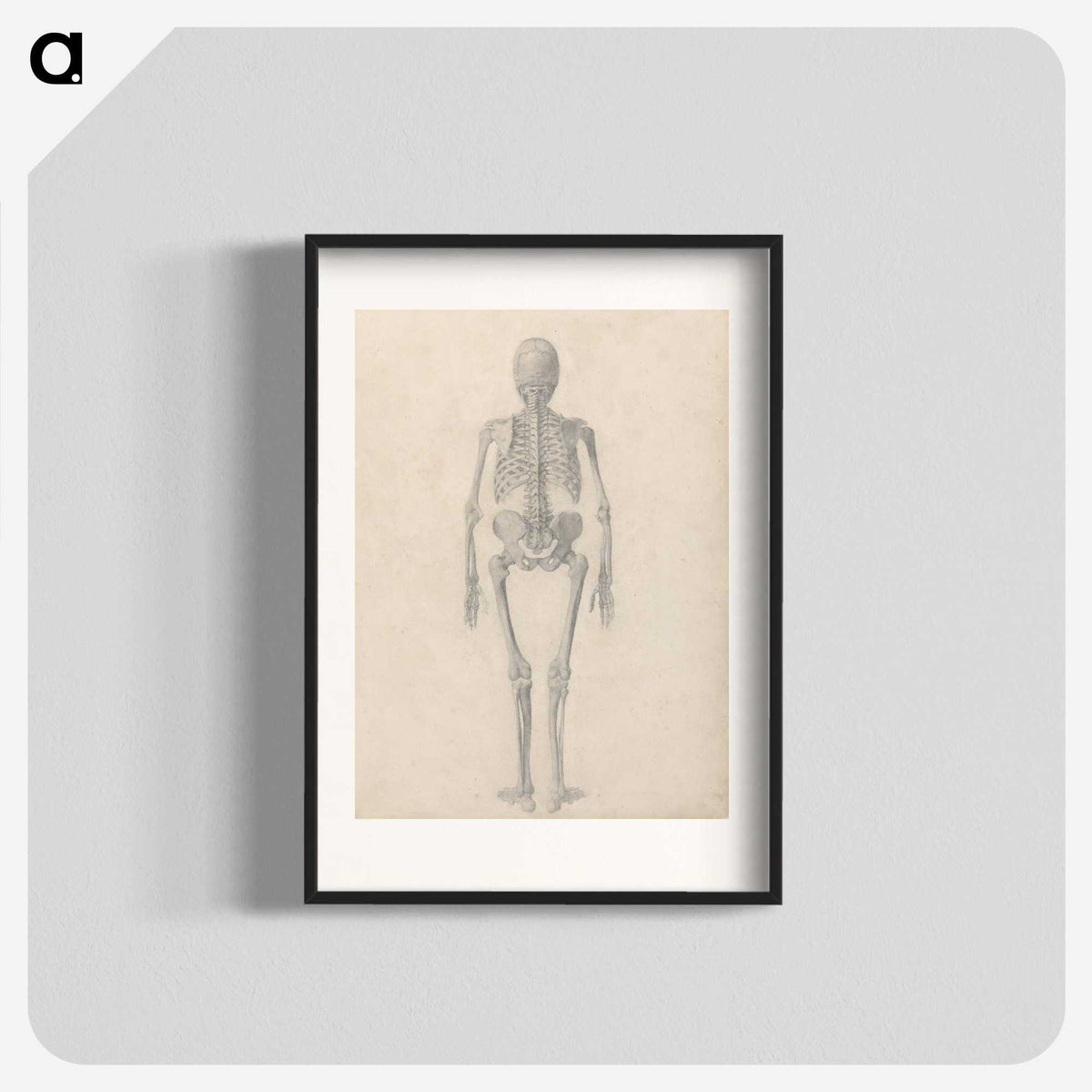 1-70_George-Stubbs_blk