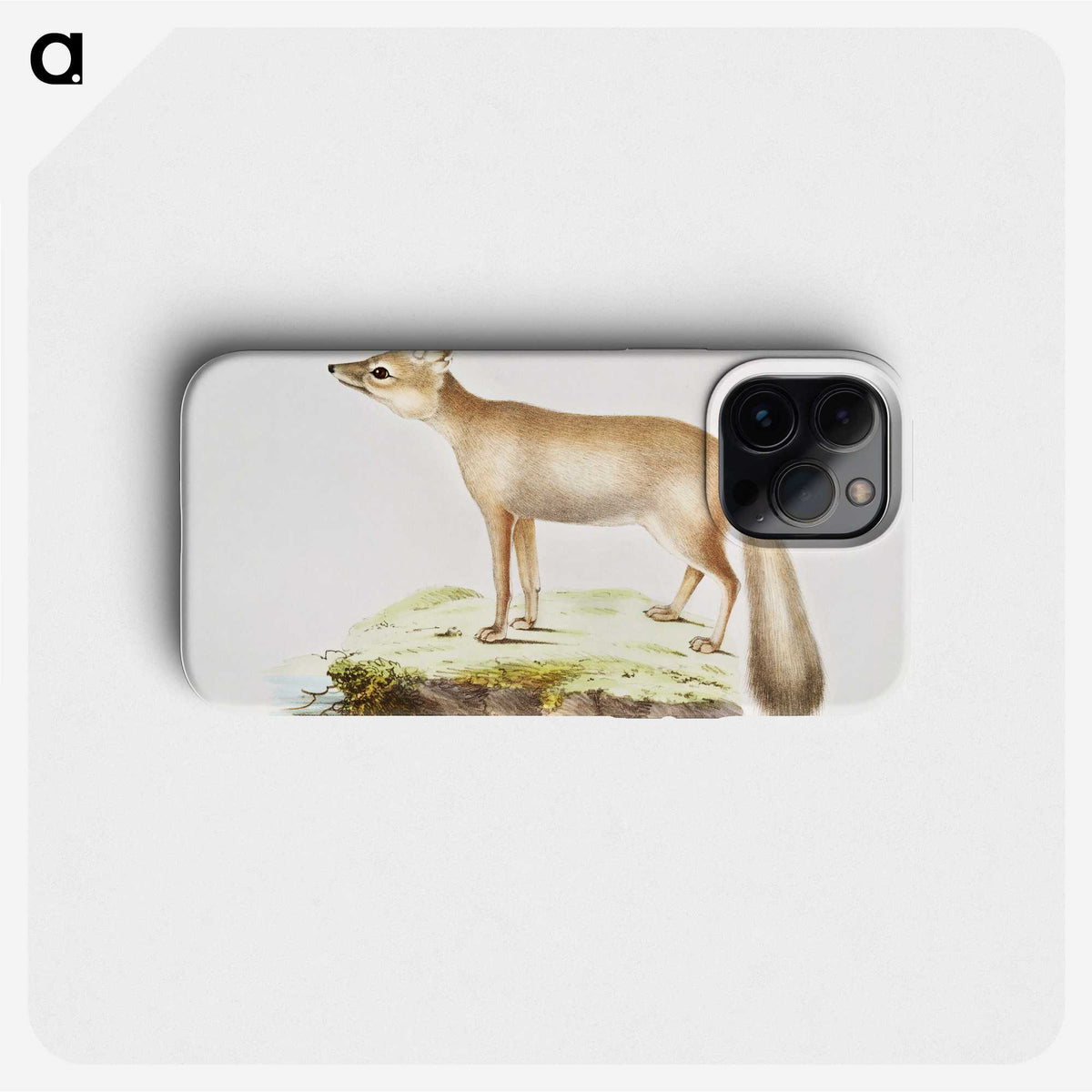 1-70_Indian-Zoology_phone