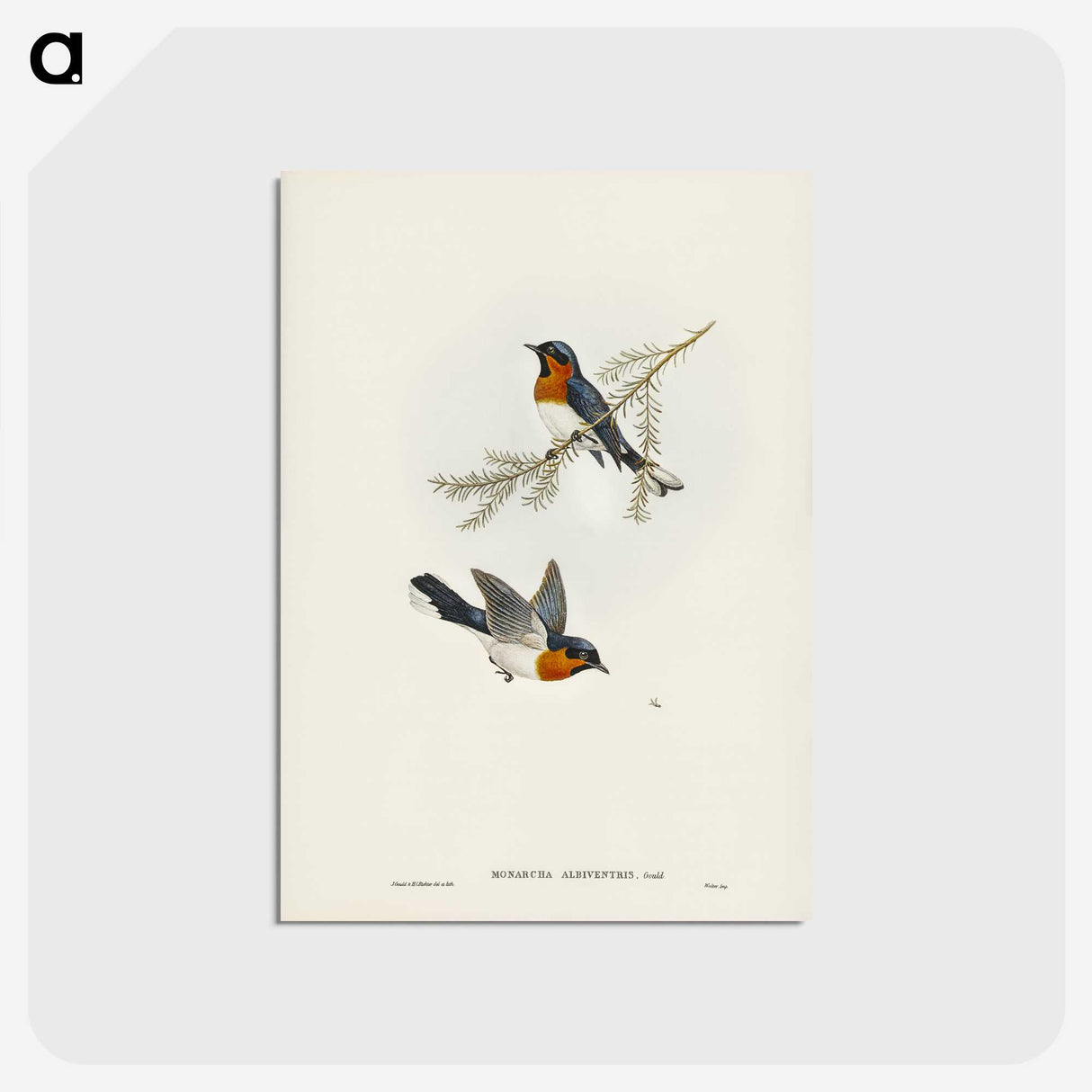 1-70_John-Gould_postcard