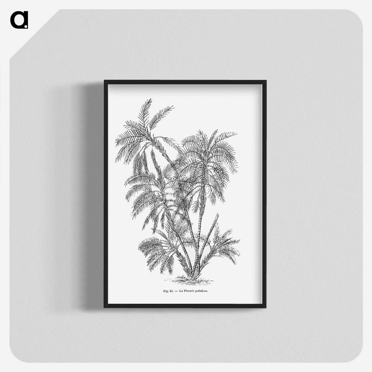 1-70_Les-Palmiers-Histoire-Iconographique_blk-crop