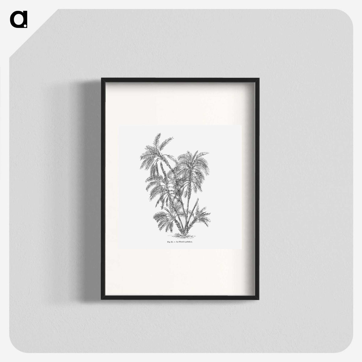 1-70_Les-Palmiers-Histoire-Iconographique_blk