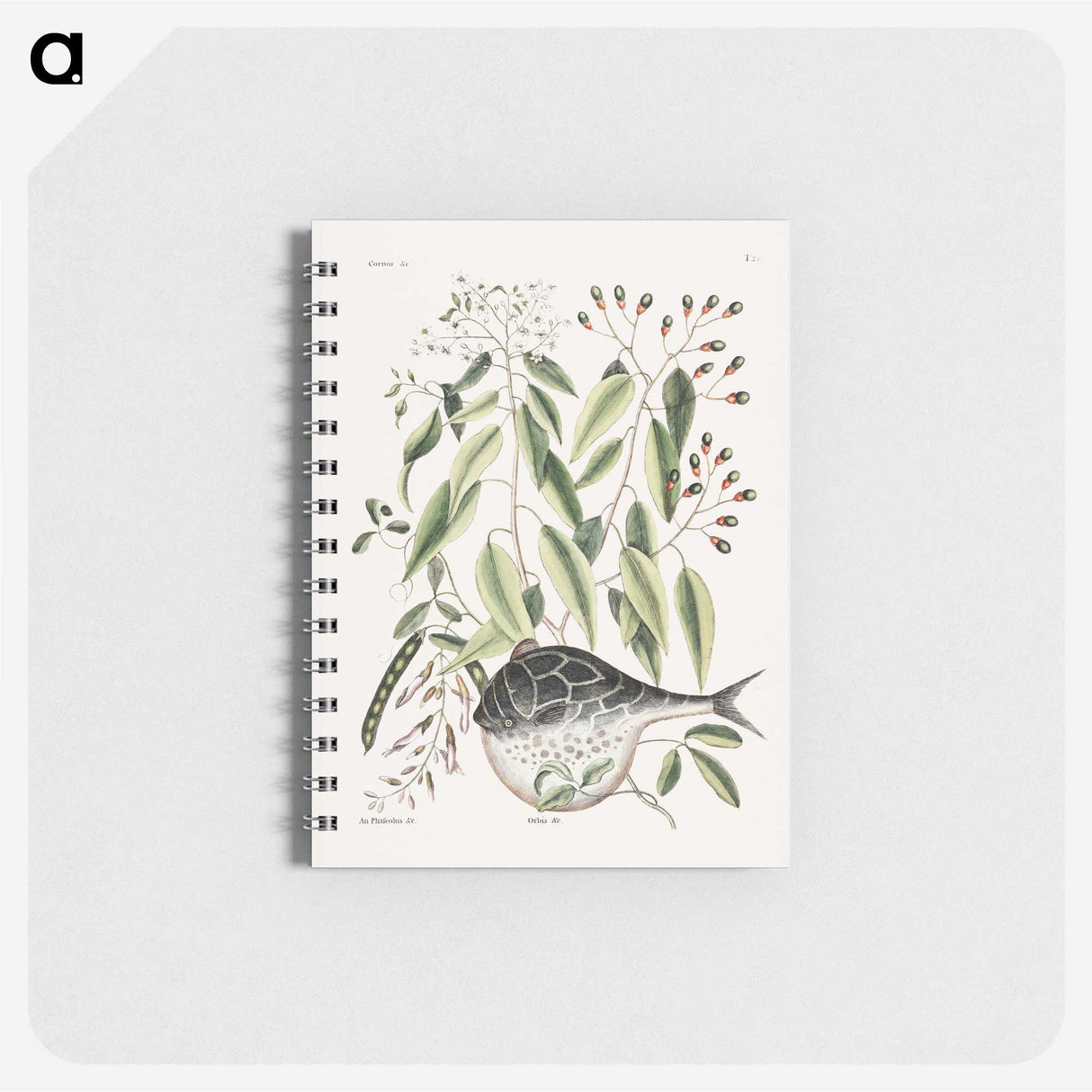 1-70_Mark-Catesby_memo