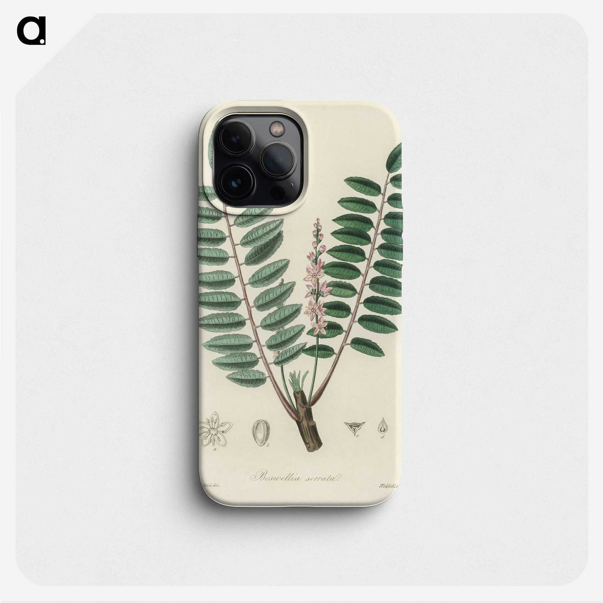 1-70_Medical-Botany_phone