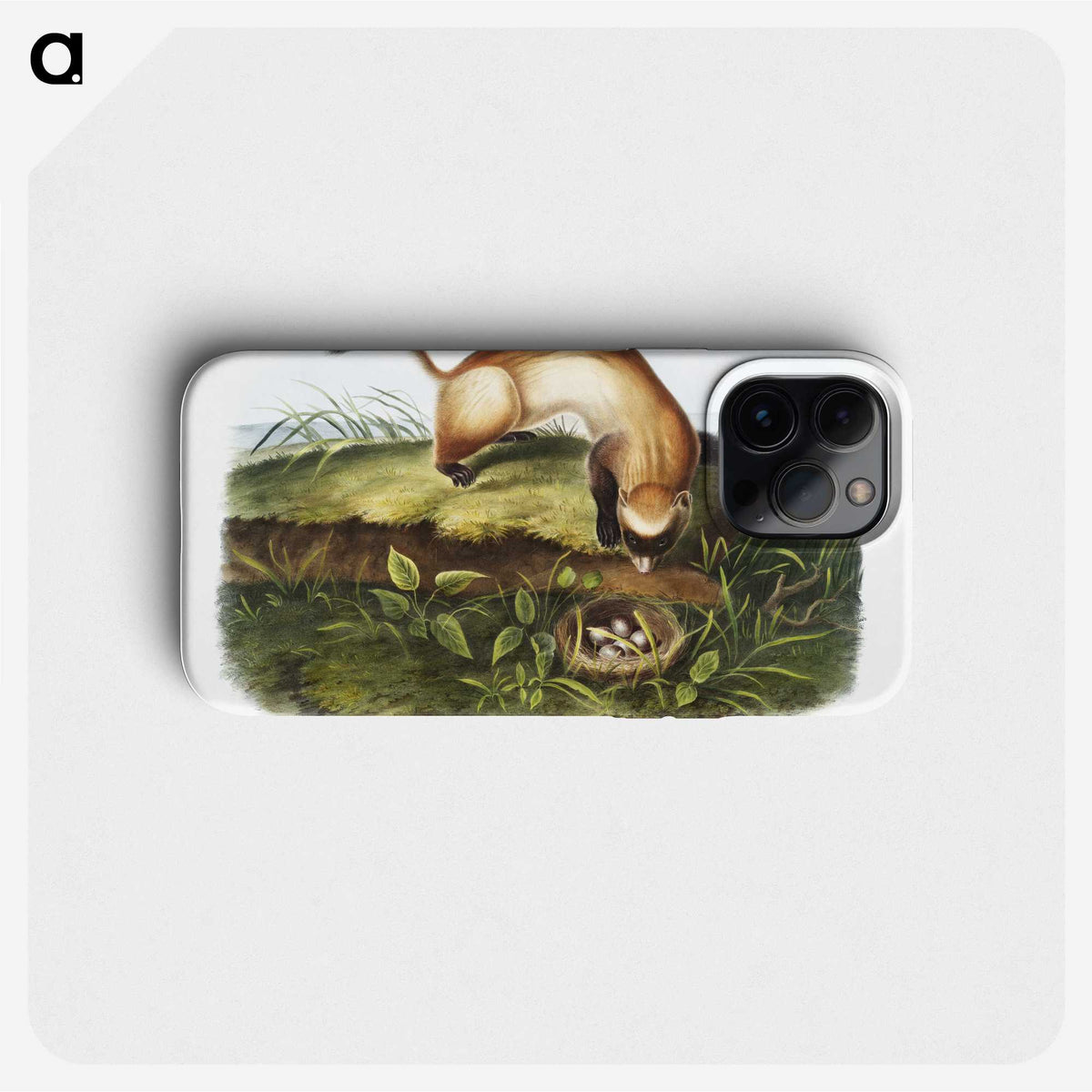 1-70_The-Grammar-of-Ornament_phone