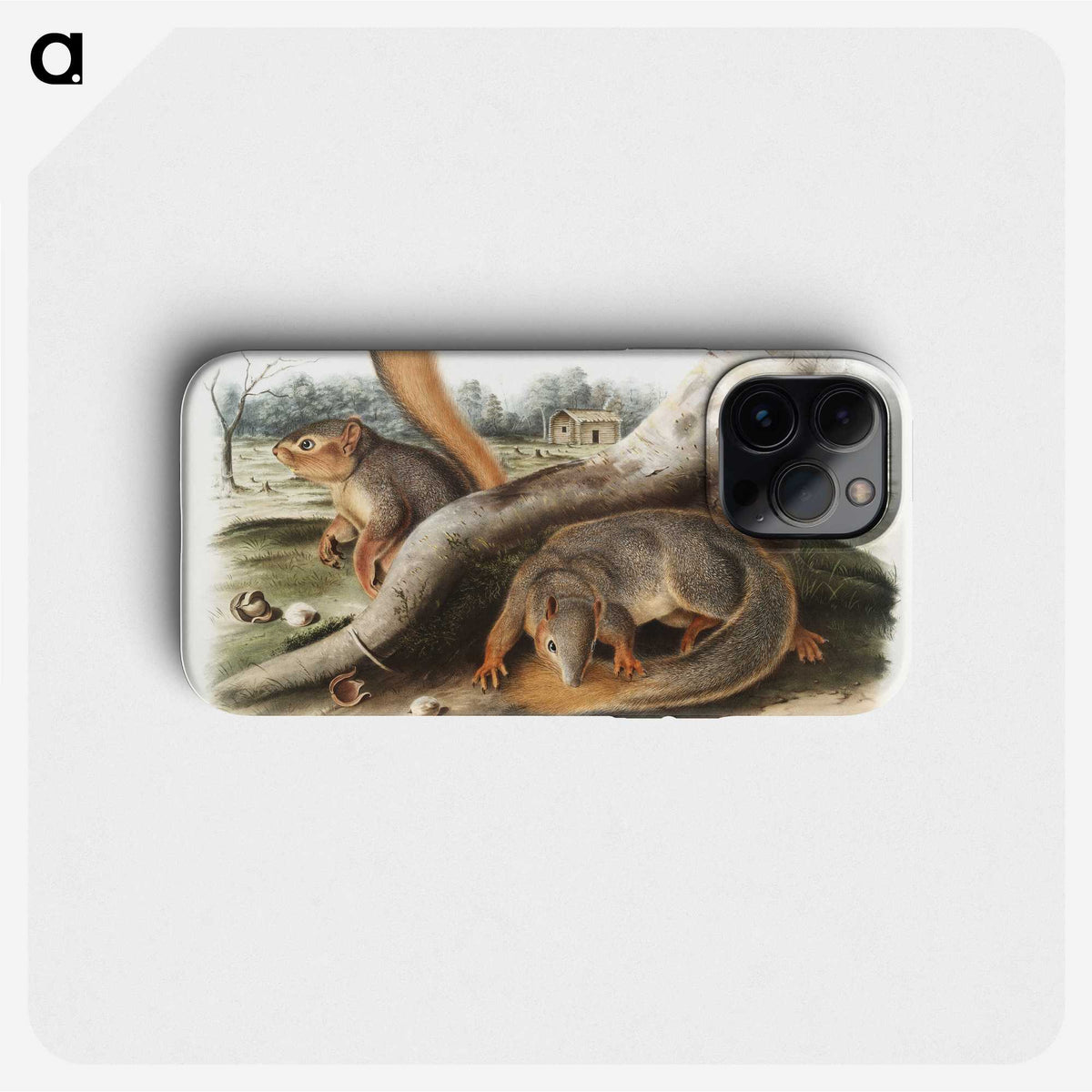 1-70_The-Viviparous-Quadrupeds_phone