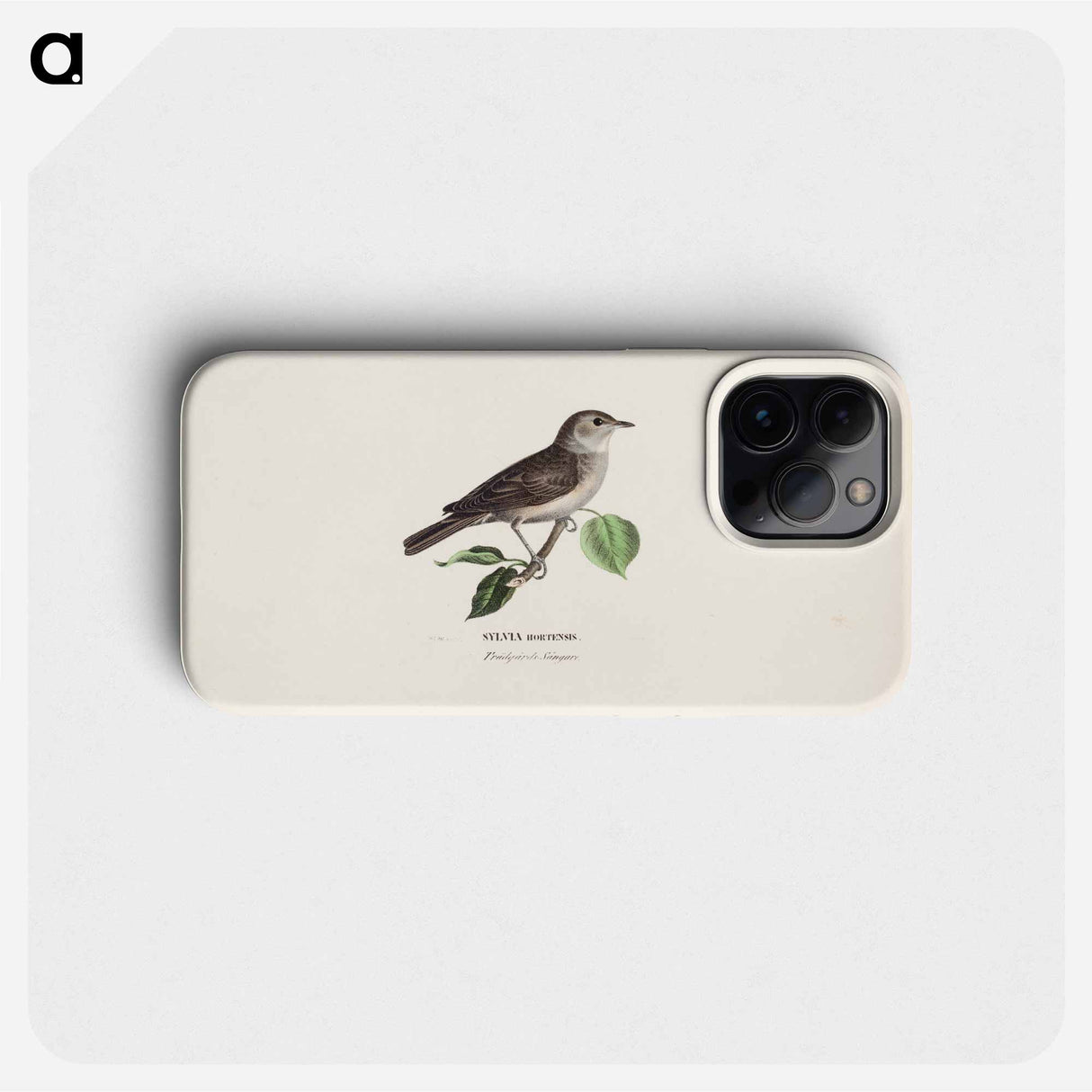 Garden warbler - Wilhelm von Wright Phone Case.