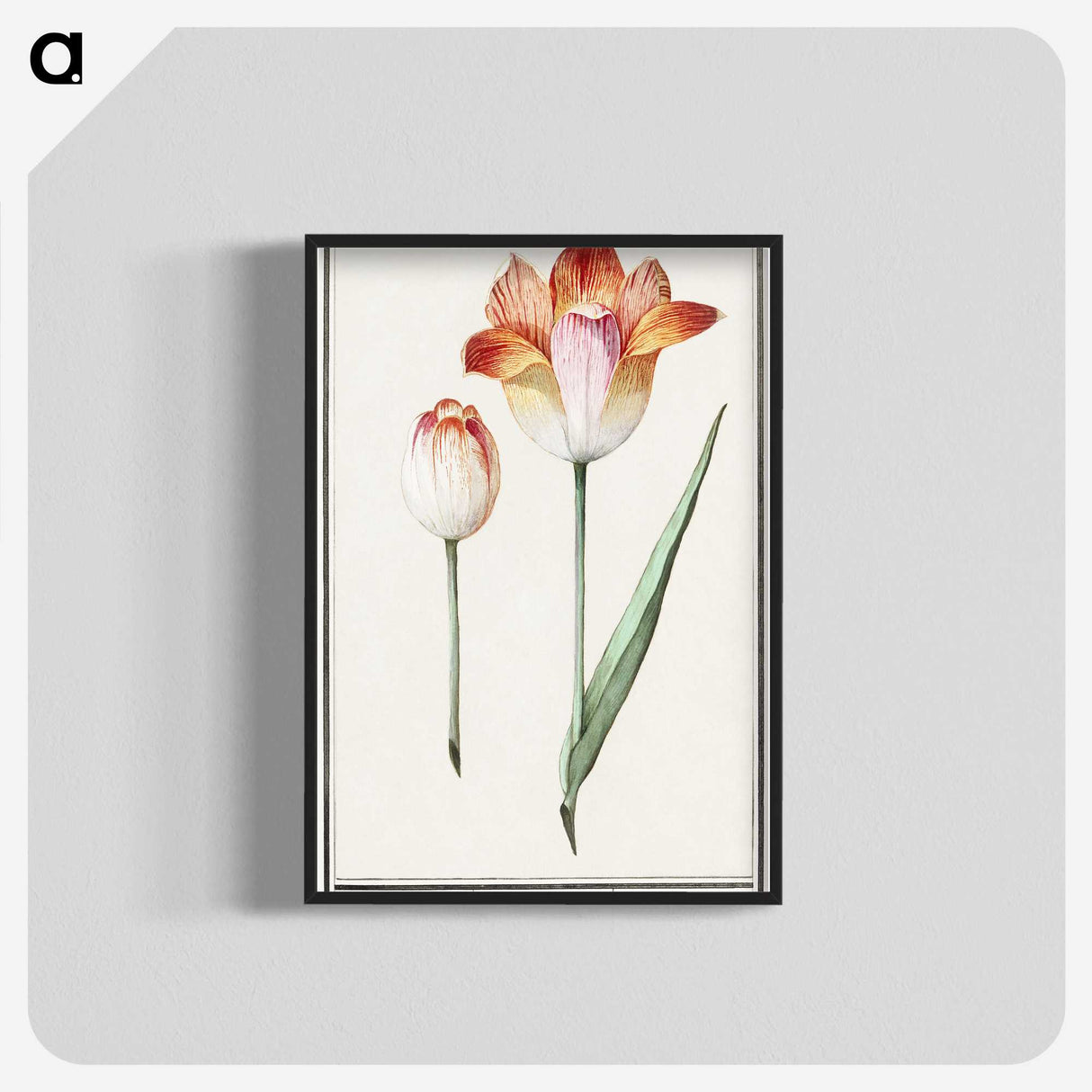 1-71_Anselmus-Boetius-de-Boodt_blk-crop