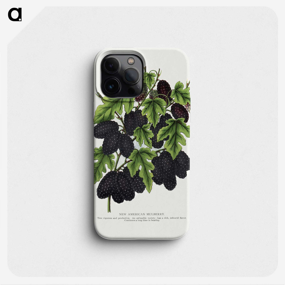 1-71_Botanical-Specimen-Plates_phone
