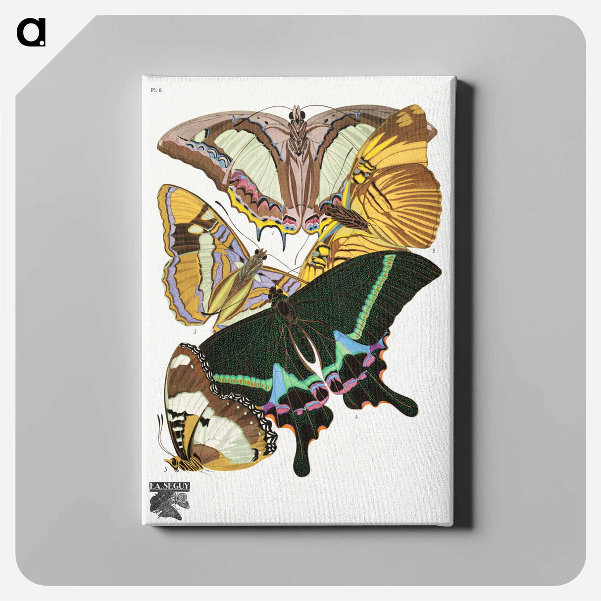 E.A. Séguy's vintage butterflies - E.A.セギー Canvas.