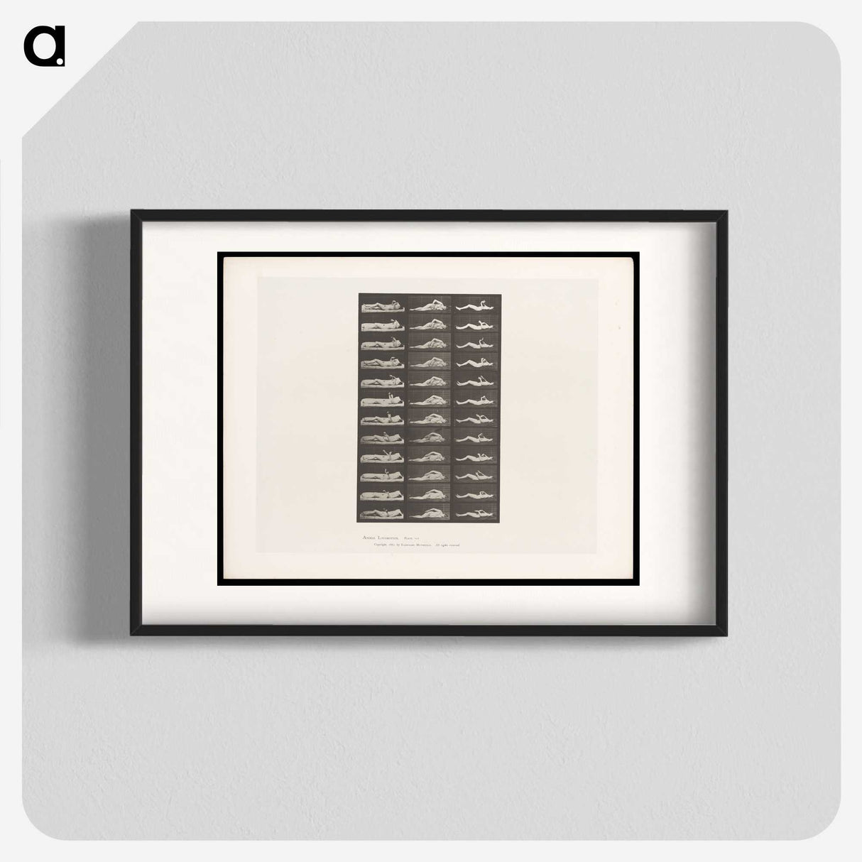 1-71_Eadweard-Muybridge_blk