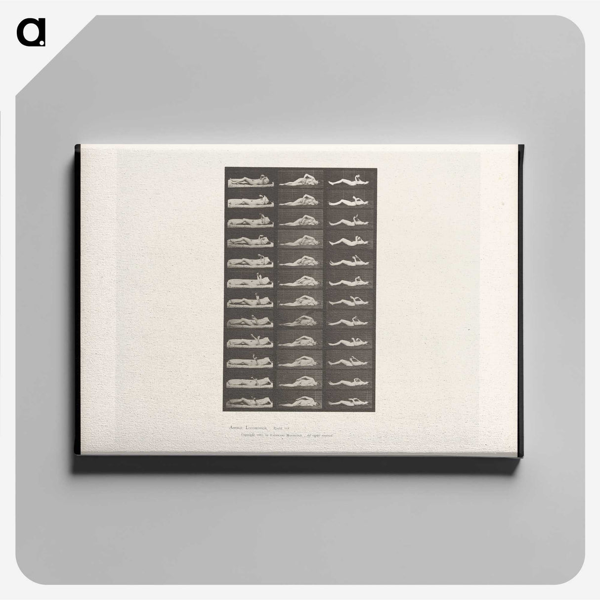 1-71_Eadweard-Muybridge_canvas
