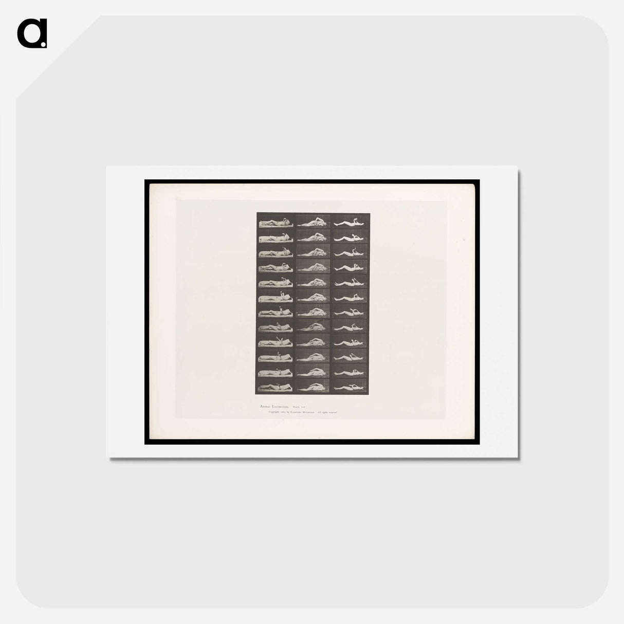 1-71_Eadweard-Muybridge_hagaki