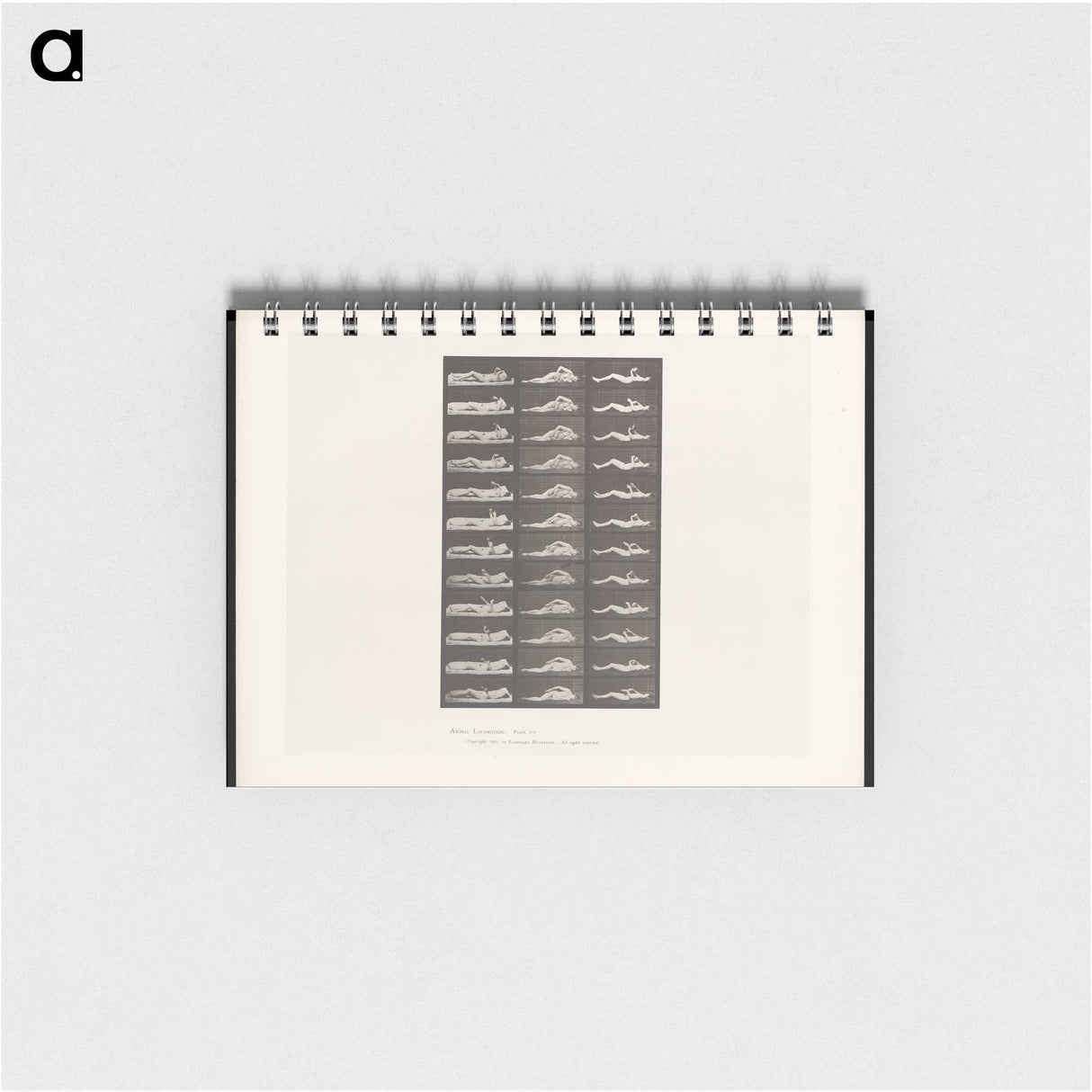 1-71_Eadweard-Muybridge_memo