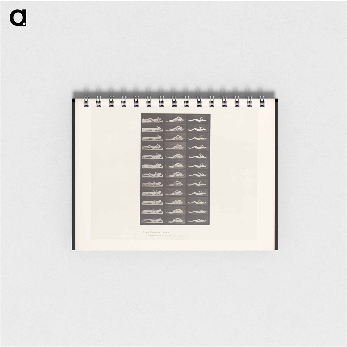 アートメモ帳-Convulsions
- エドワード マイブリッジ Memo.