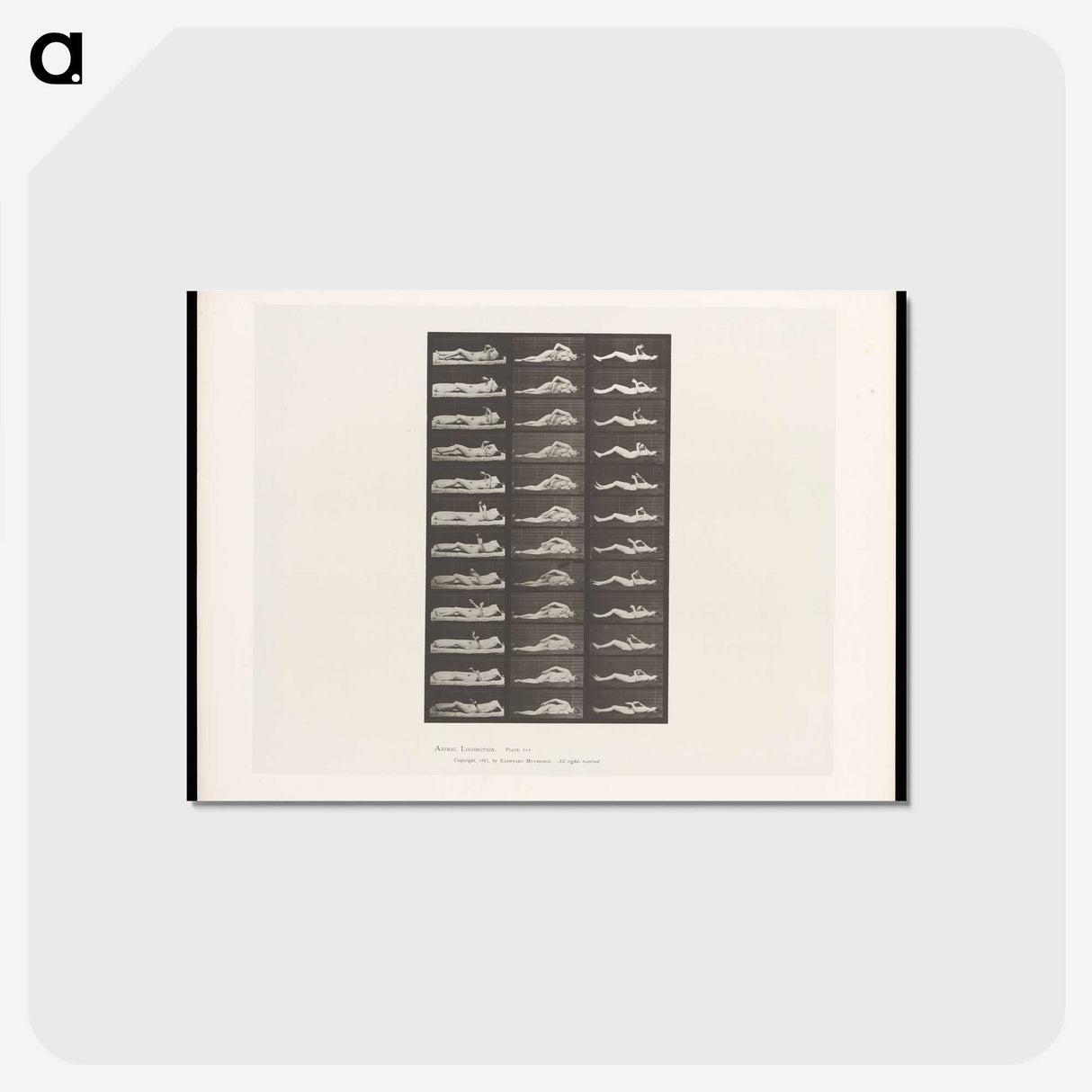 1-71_Eadweard-Muybridge_postcard
