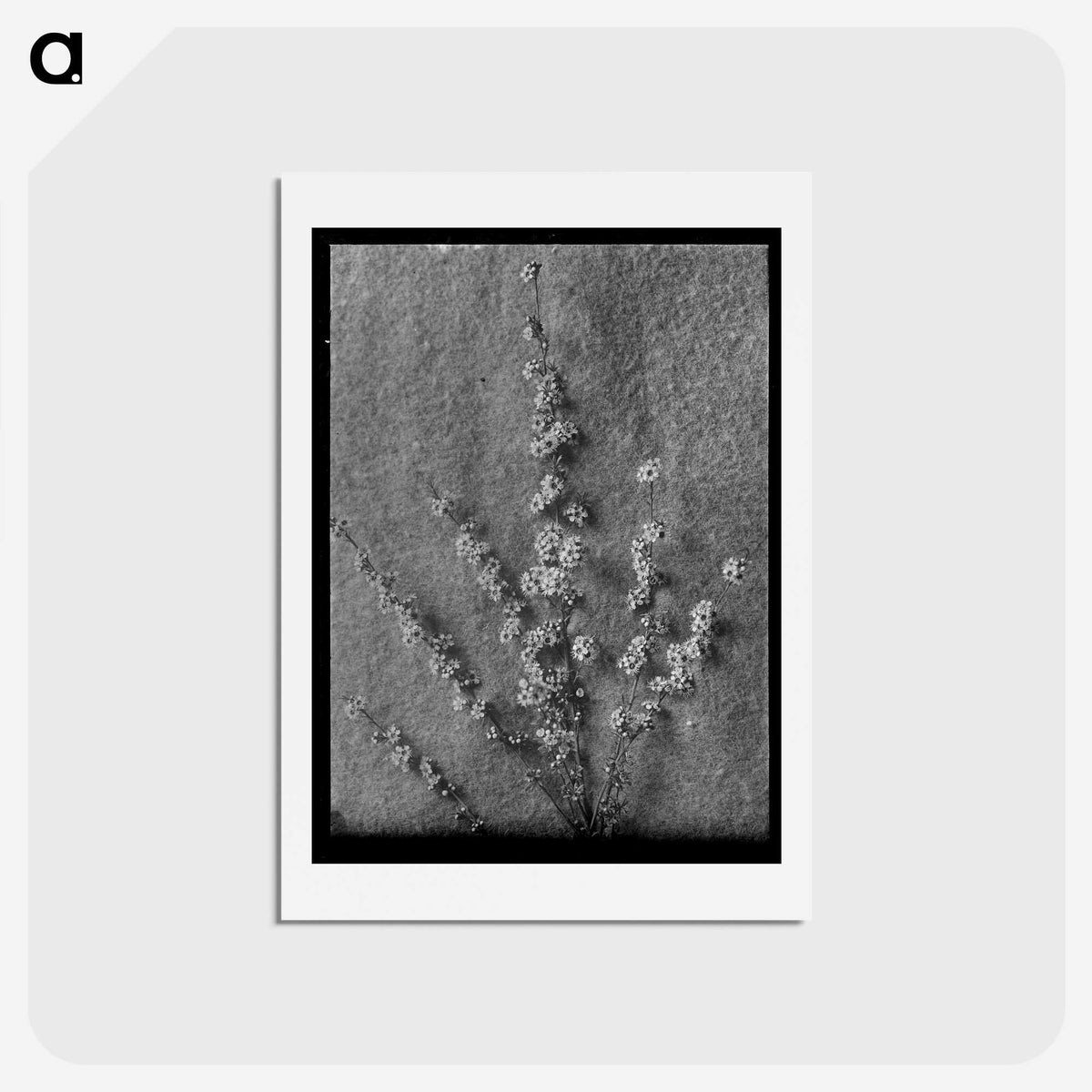 1-71_Frederick-Charles-Brockett_hagaki