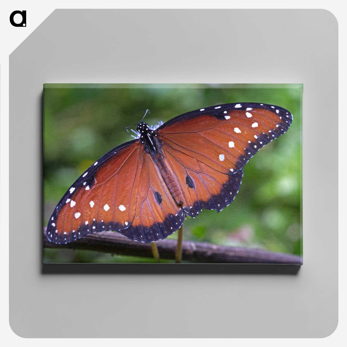 1-71_Insects-Unlocked-Project_canvas