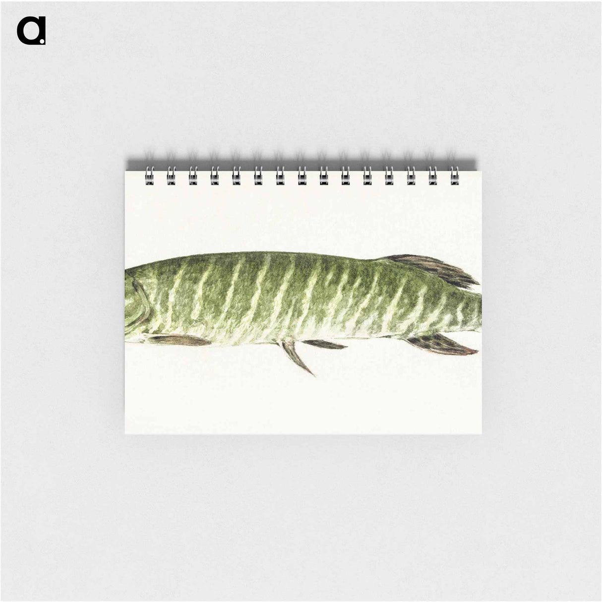 Pike - ジャン ベルナール Memo.