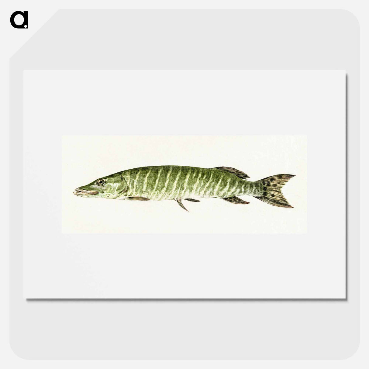 Pike - ジャン ベルナール Poster.