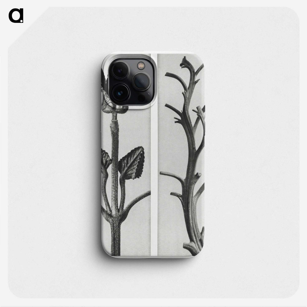 1-71_Karl-Blossfeldt_phone
