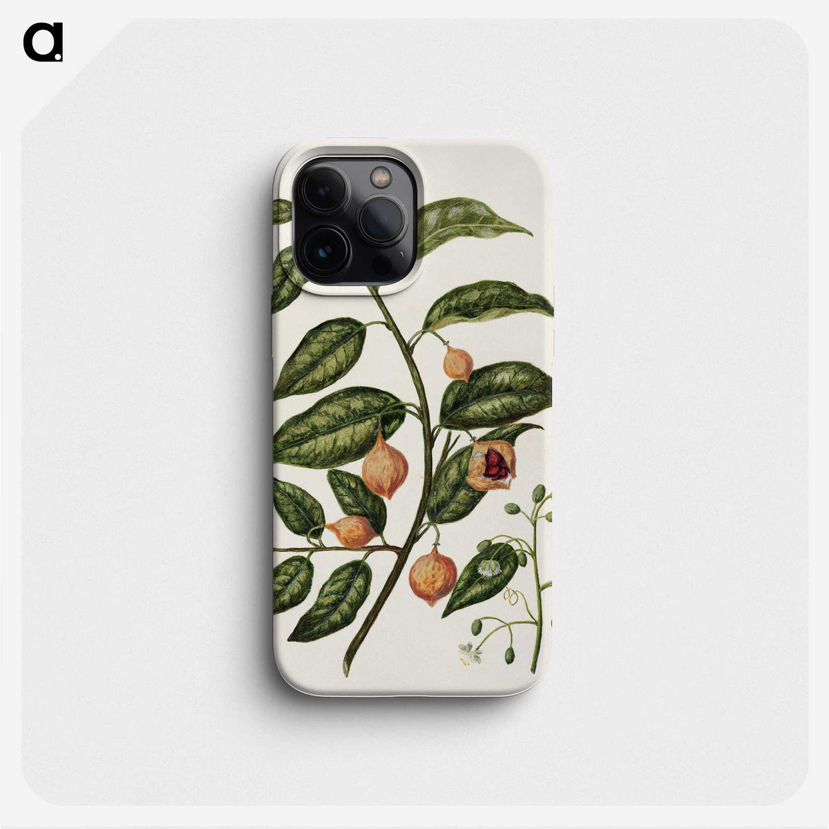 1-71_Native-Flowering-Plants-of-New-Zealand_phone