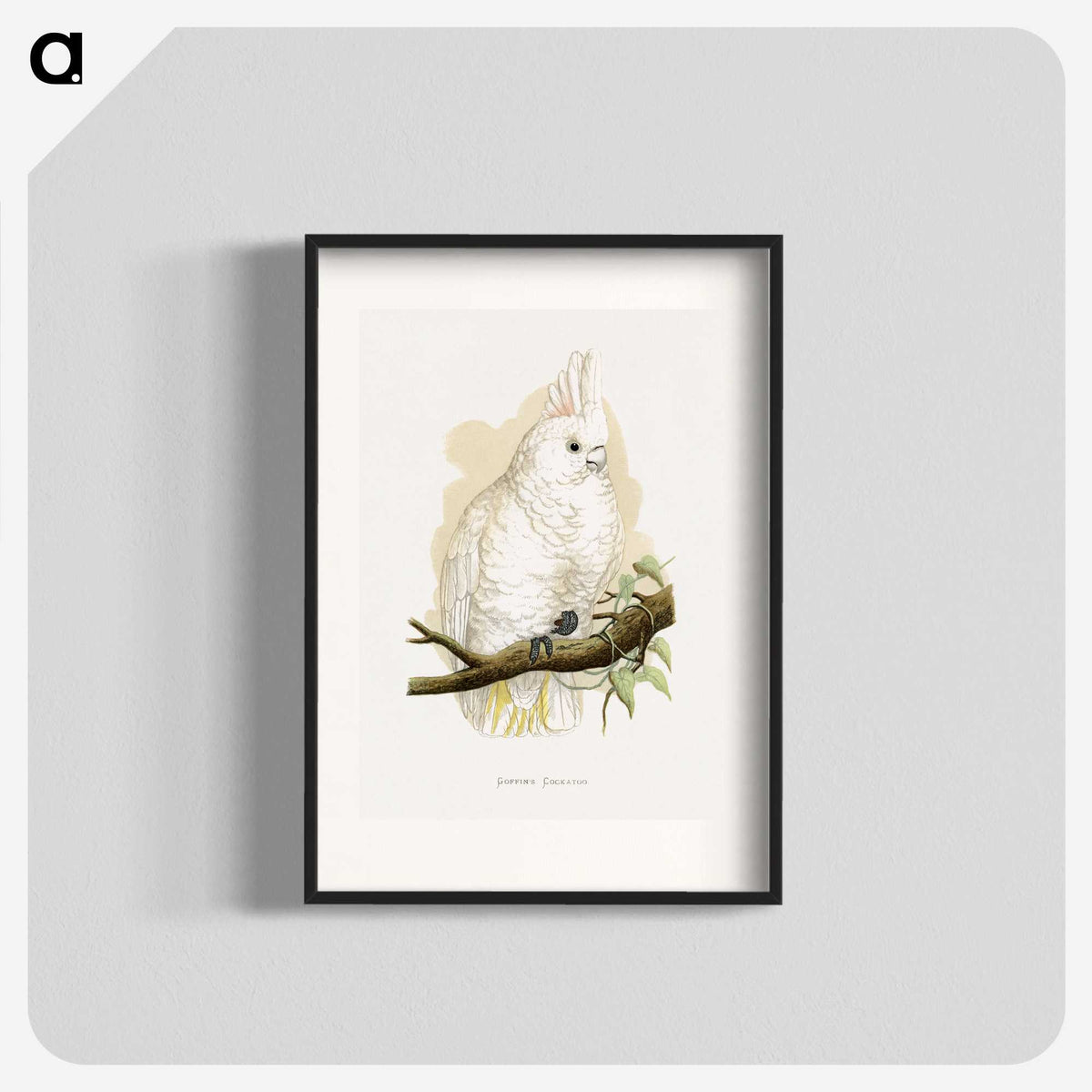 1-71_Parrots-in-Captivity_blk