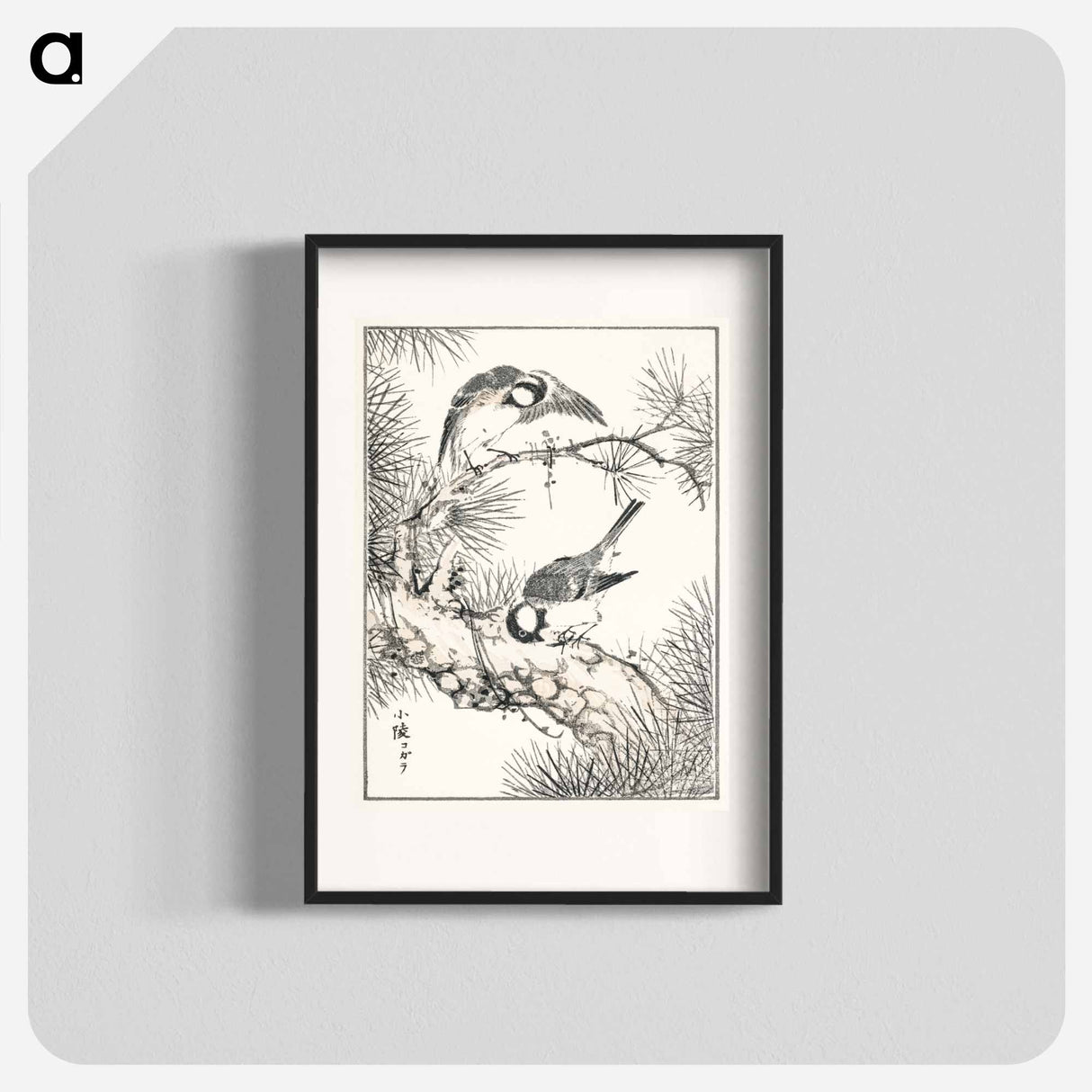 アートポスター-Japanese Willow Tit and Pine Tree
- 鳥類図鑑 Poster.