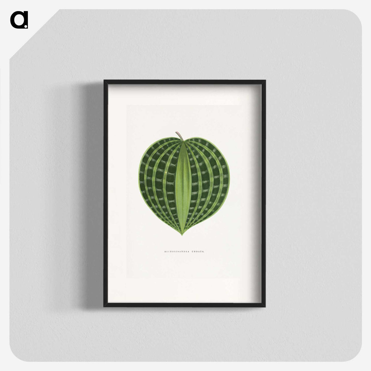 1-71_Plants-with-Colored-Foliage_blk
