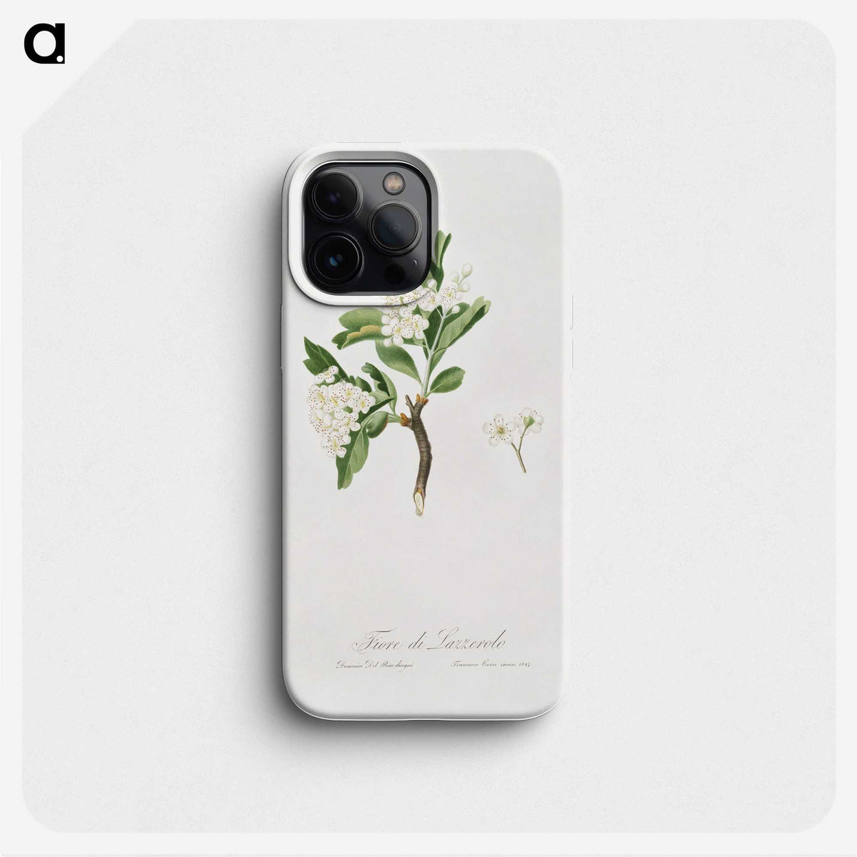 1-71_Pomona-Italiana_phone