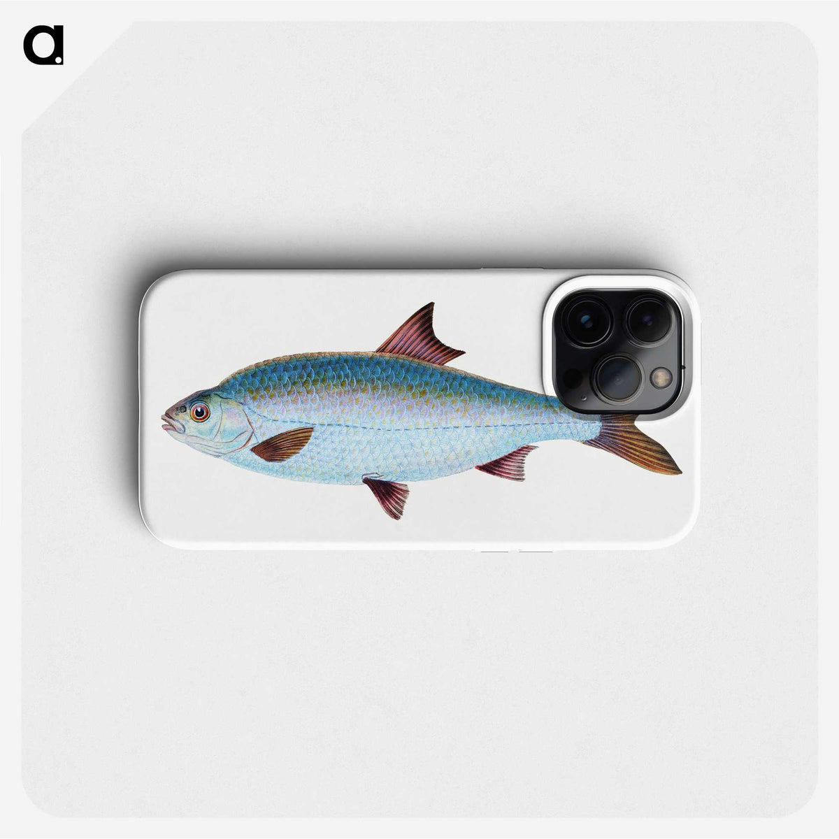 1-71_The-Natural-History-of-British-Fishes_phone