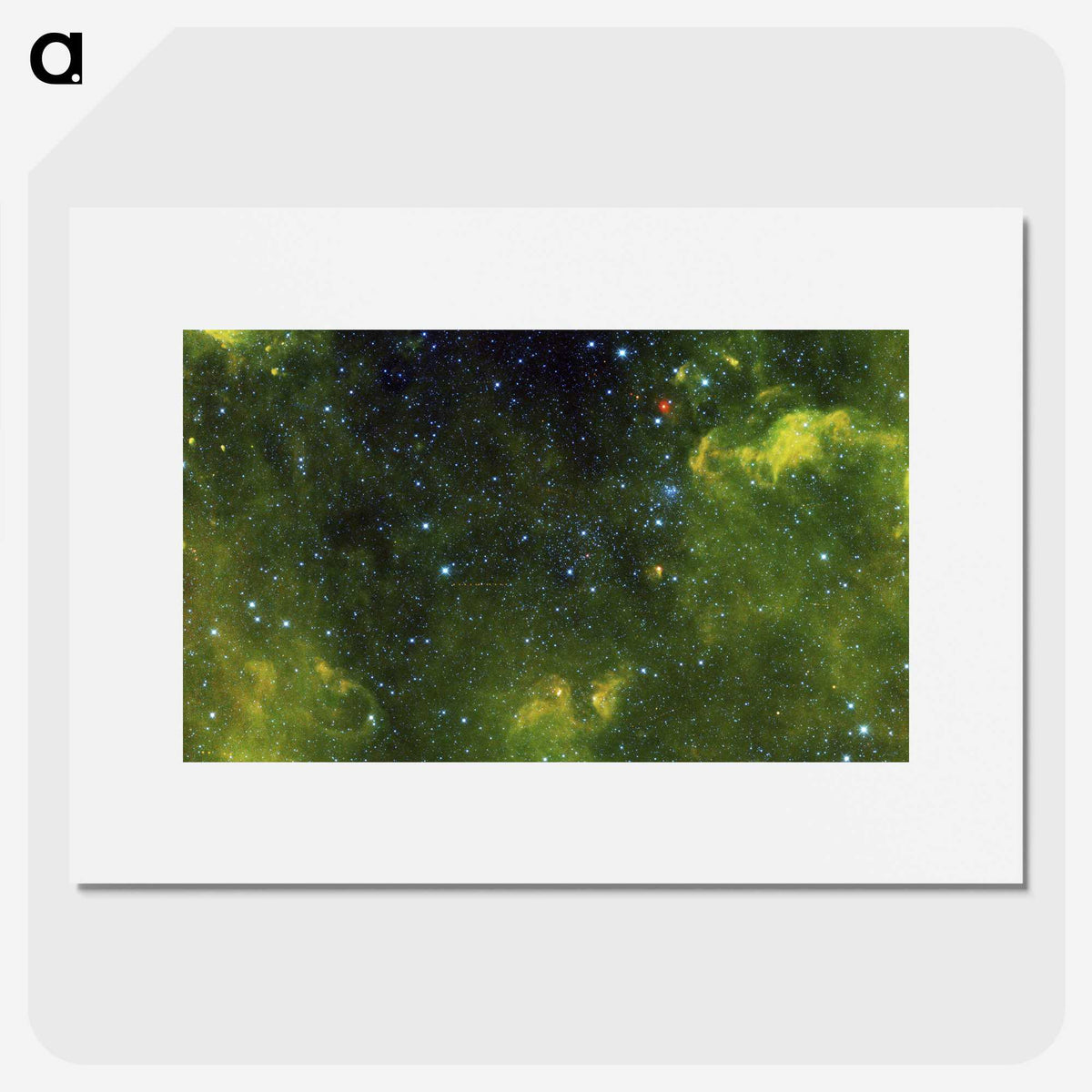 1-71_The-Viviparous-Quadrupeds_picture