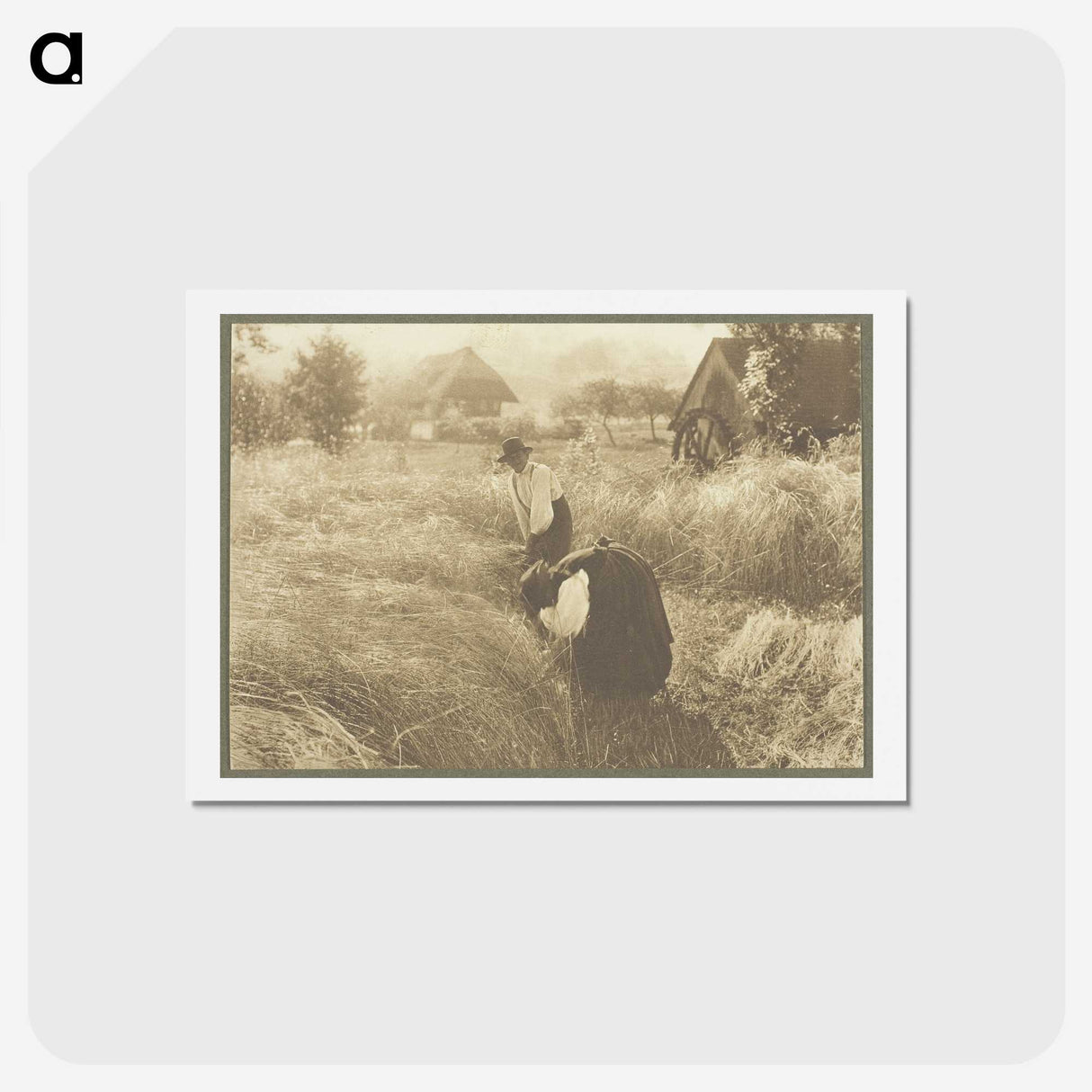 1-72_Alfred-Stieglitz_hagaki