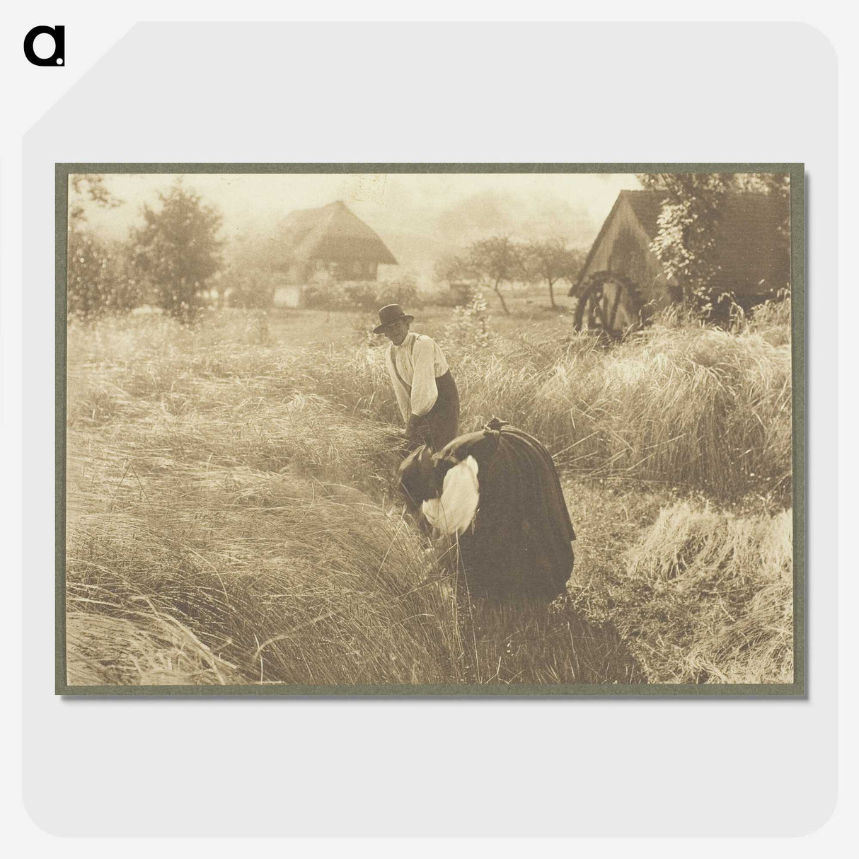 1-72_Alfred-Stieglitz_picture-crop