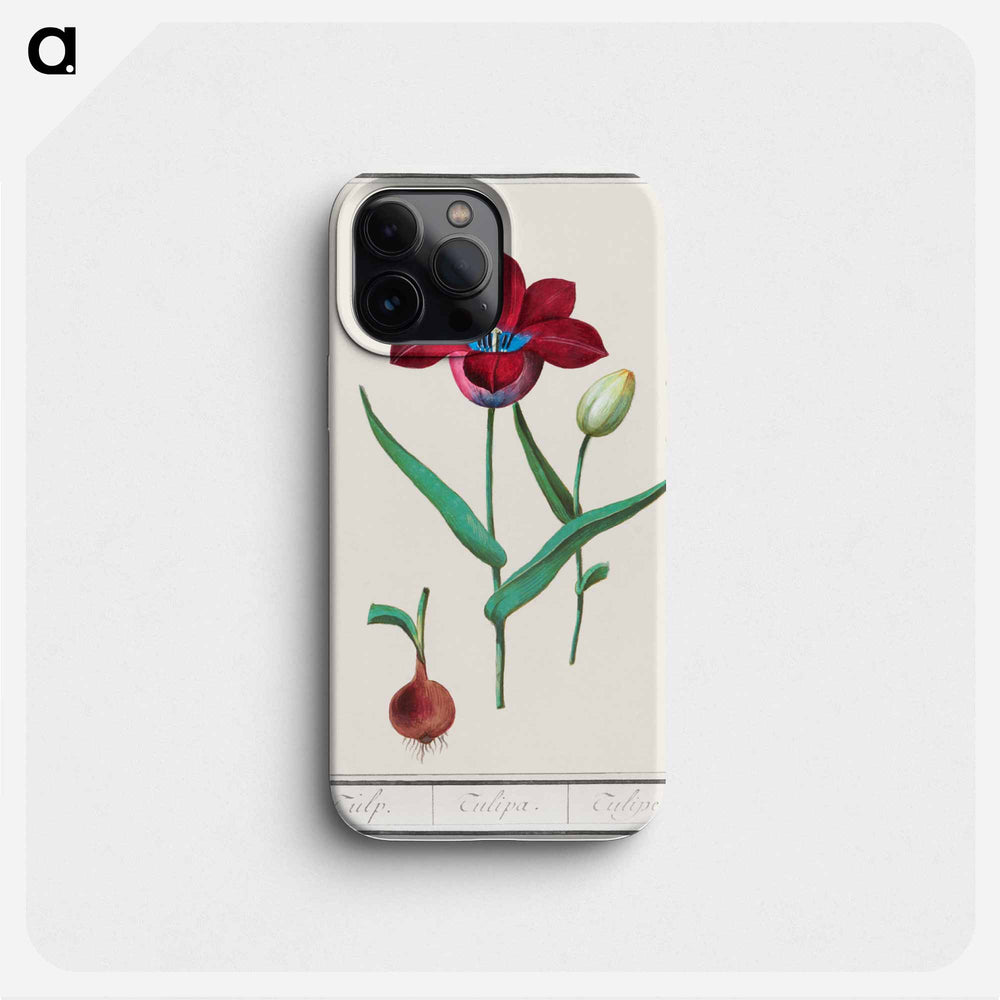 Tulip - アンセルムス ボエティウス デ ブート Phone Case.