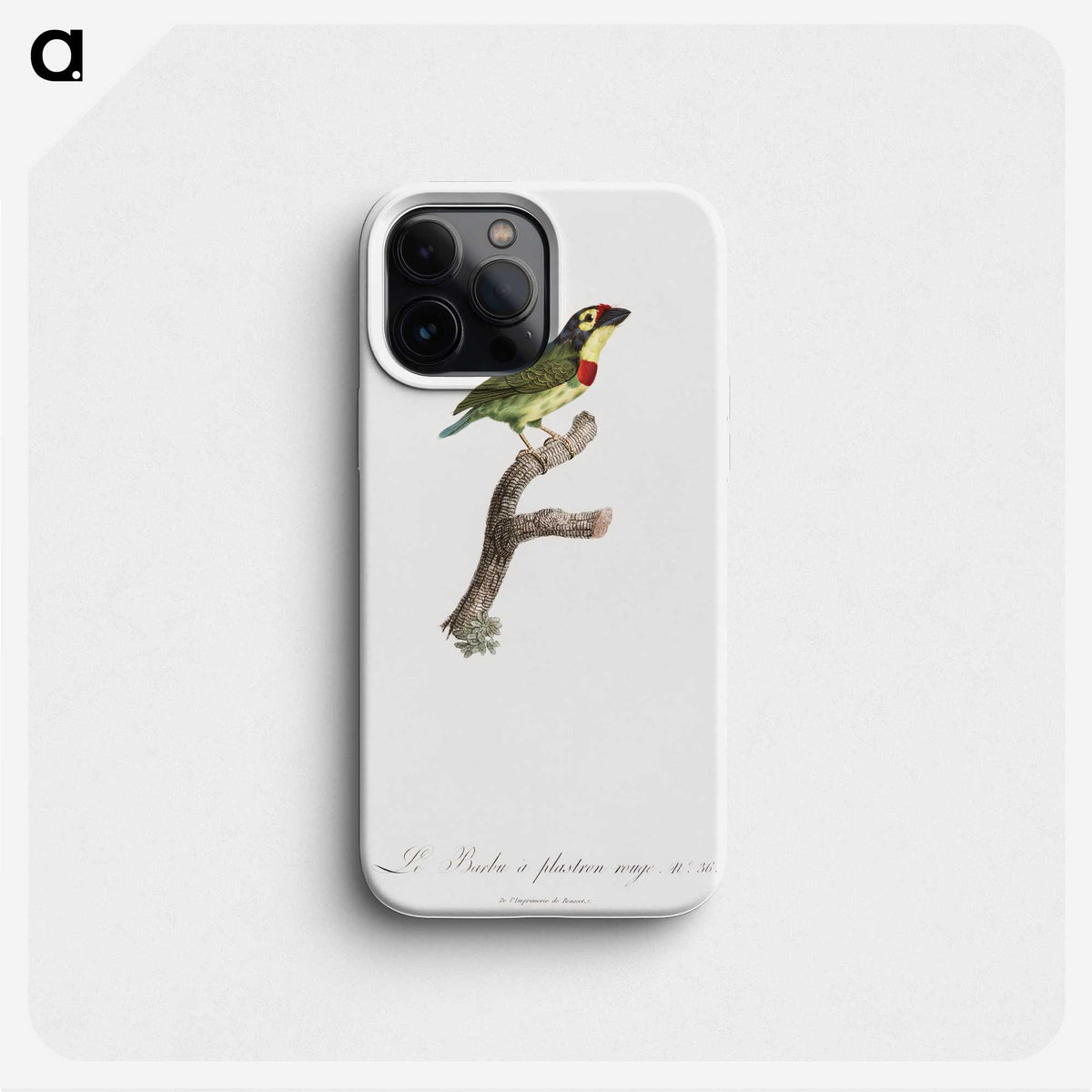 1-72_Des-Oiseaux-de-Paradis_phone
