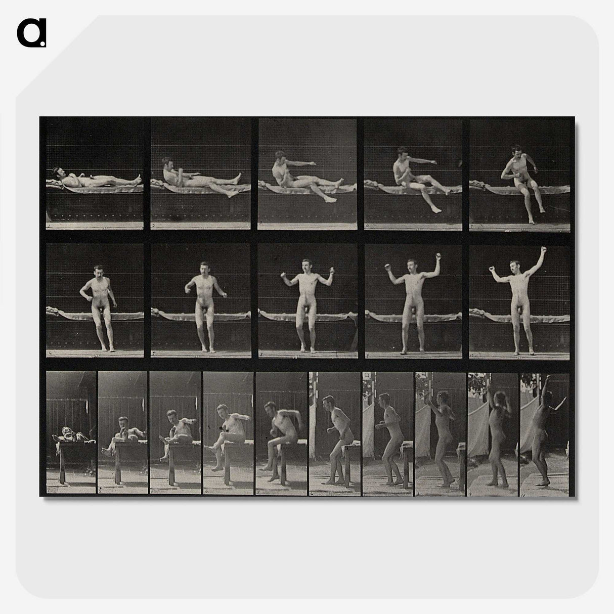 1-72_Eadweard-Muybridge_picture-crop
