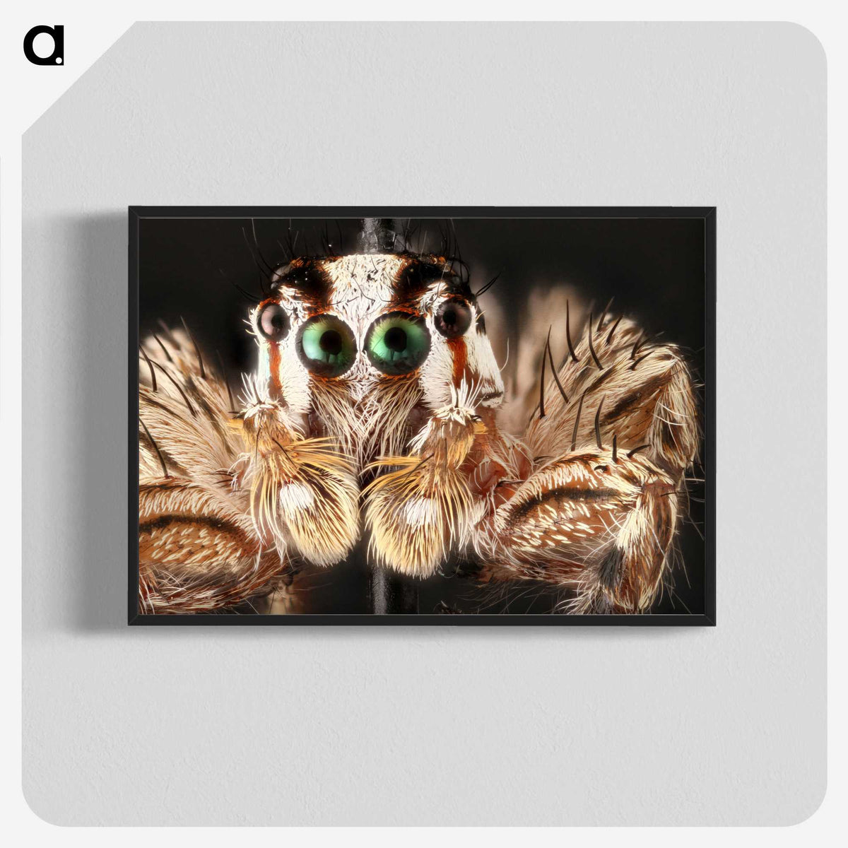 1-72_Insects-Unlocked-Project_blk-crop