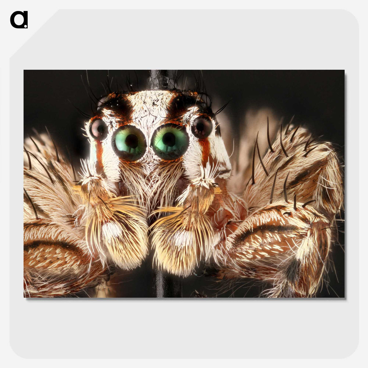 1-72_Insects-Unlocked-Project_picture-crop